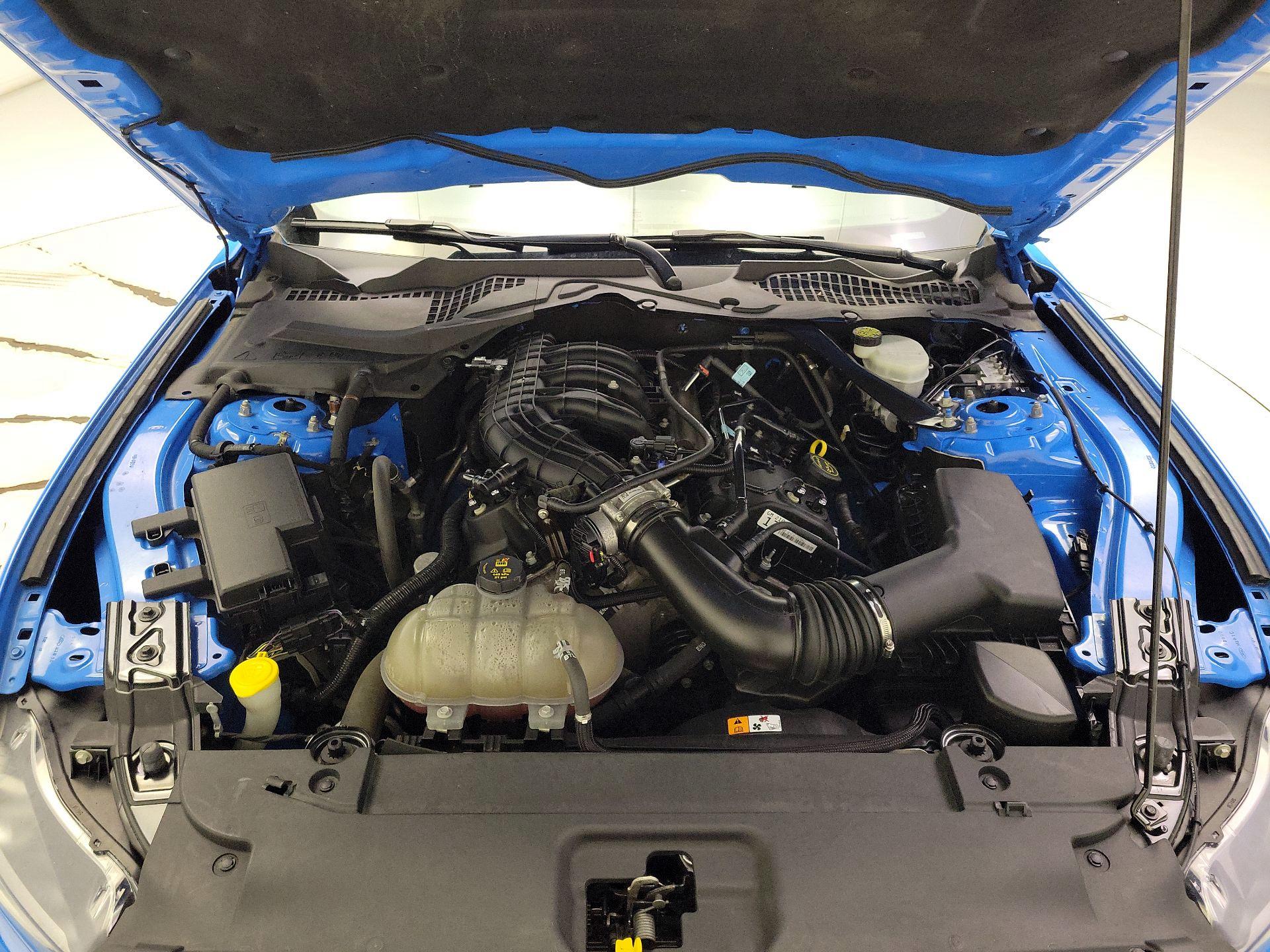 Thumbnail: 2017 Ford Mustang - 20