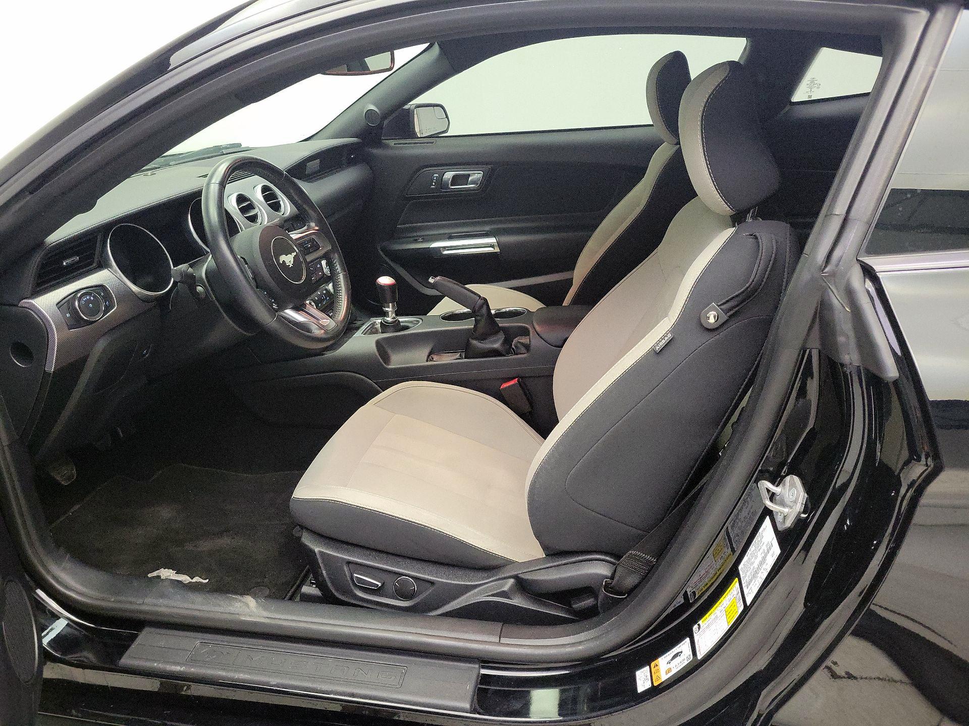 Thumbnail: 2019 Ford Mustang - 11