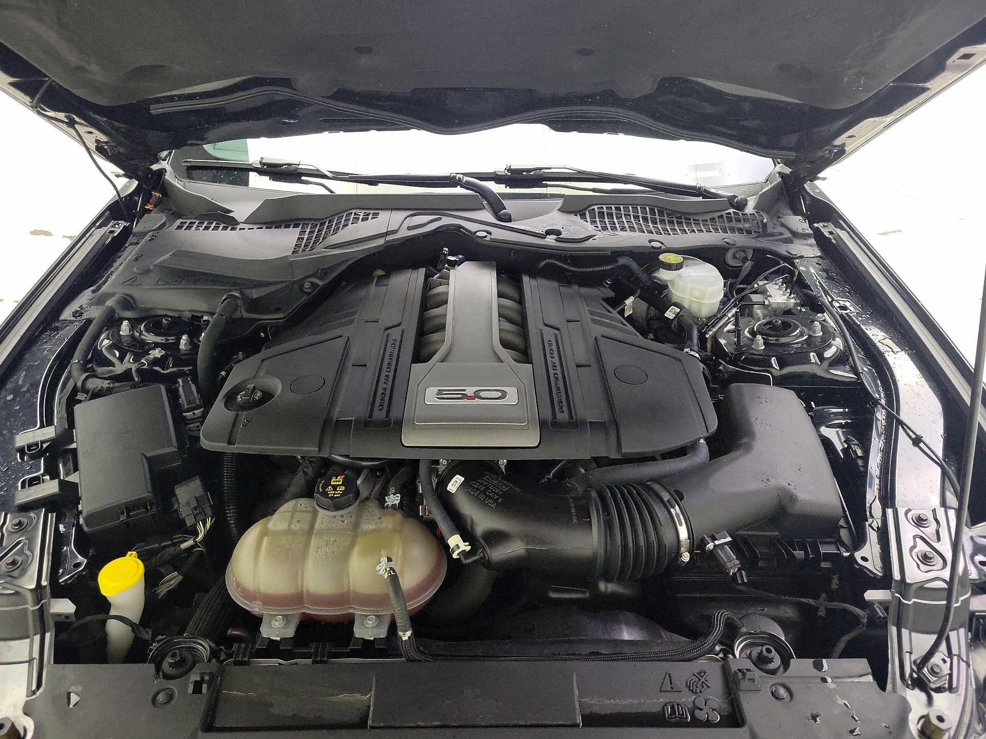 Thumbnail: 2019 Ford Mustang - 20