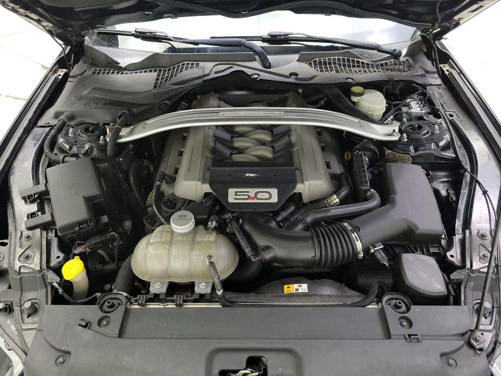 Thumbnail: 2016 Ford Mustang - 19