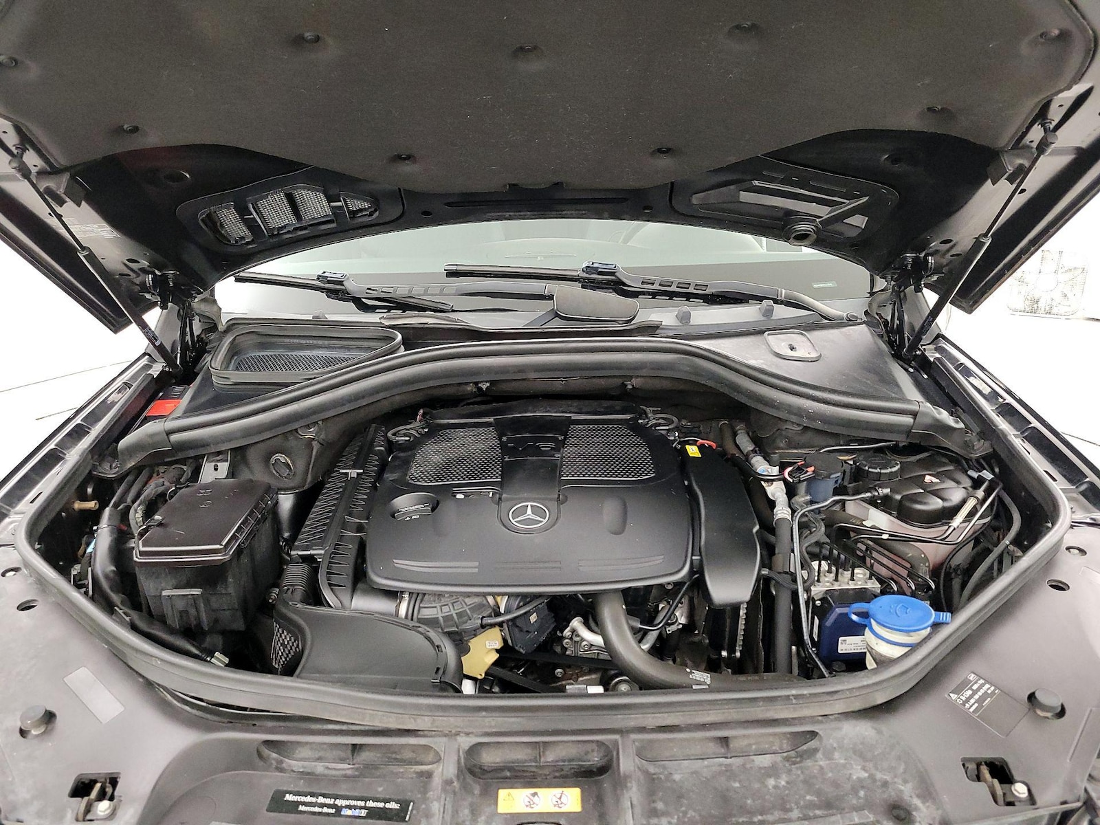 View 25