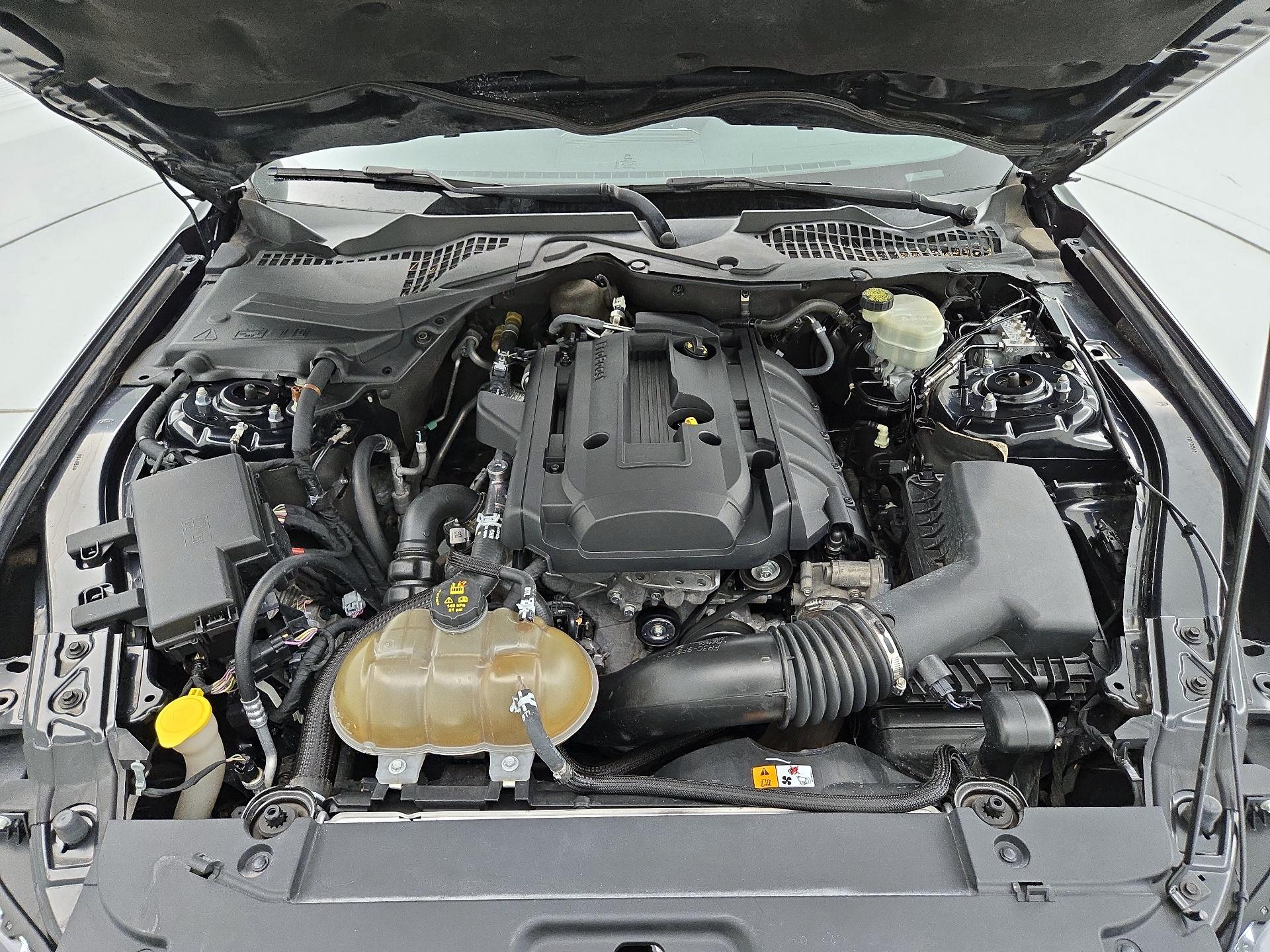Thumbnail: 2015 Ford Mustang - 20