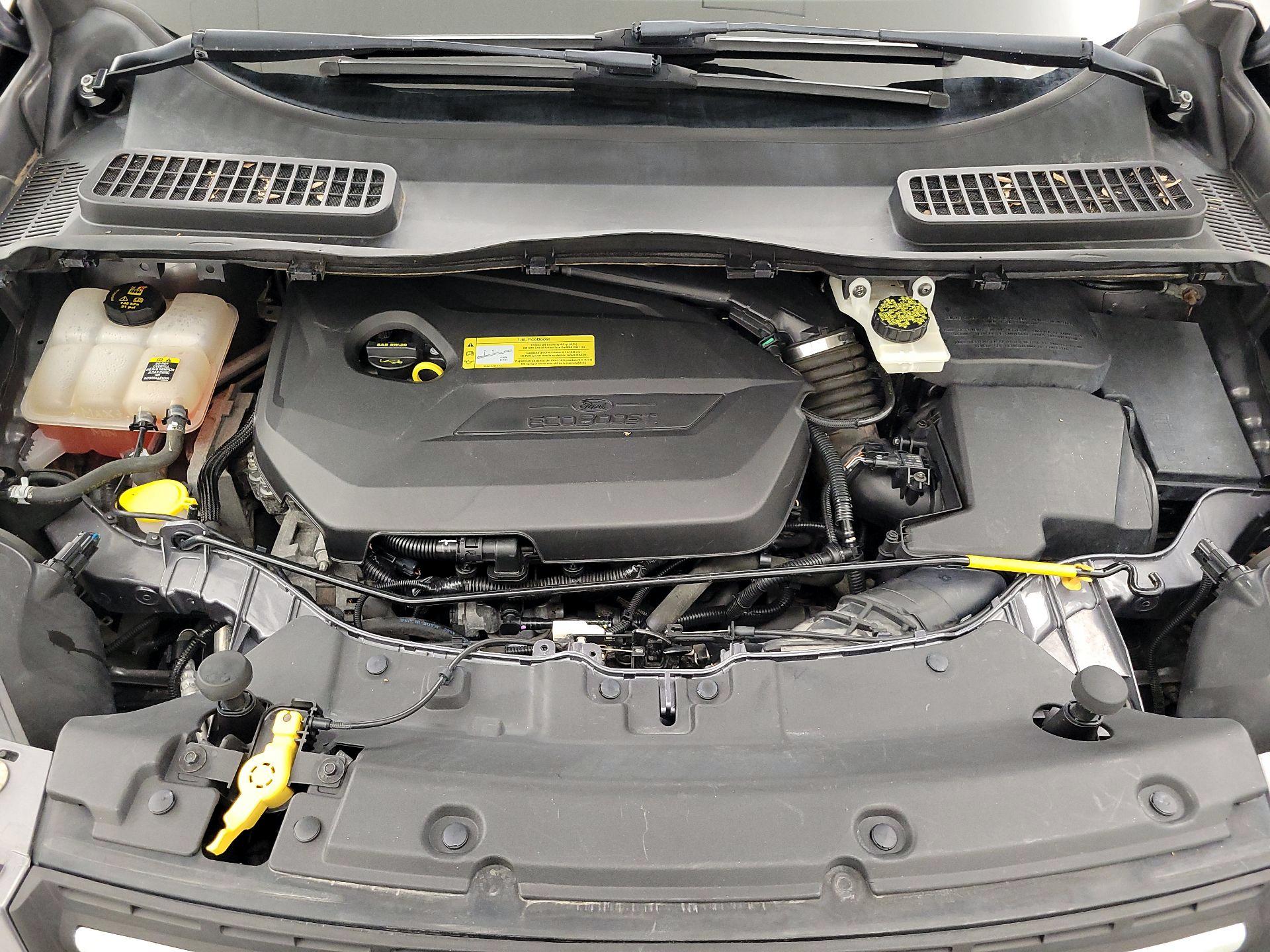 Thumbnail: 2013 Ford Escape - 19