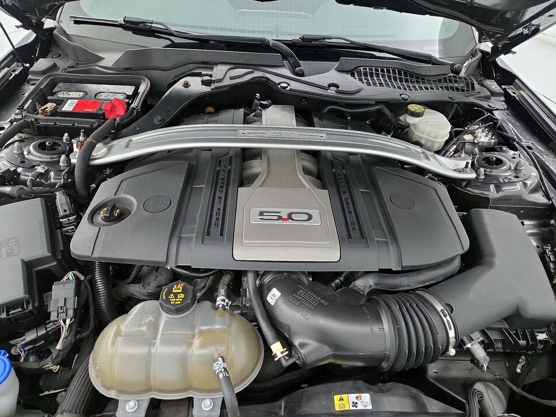 Thumbnail: 2019 Ford Mustang - 20