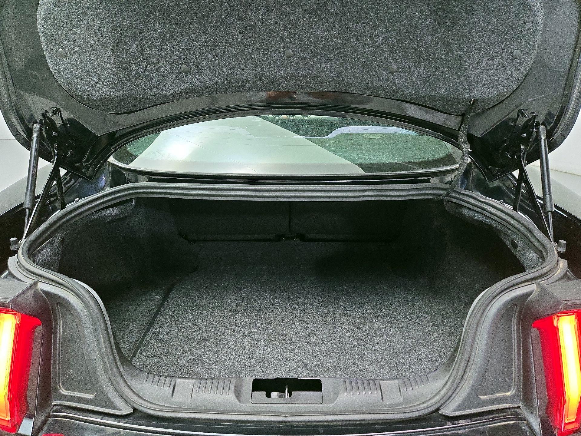 Thumbnail: 2019 Ford Mustang - 20