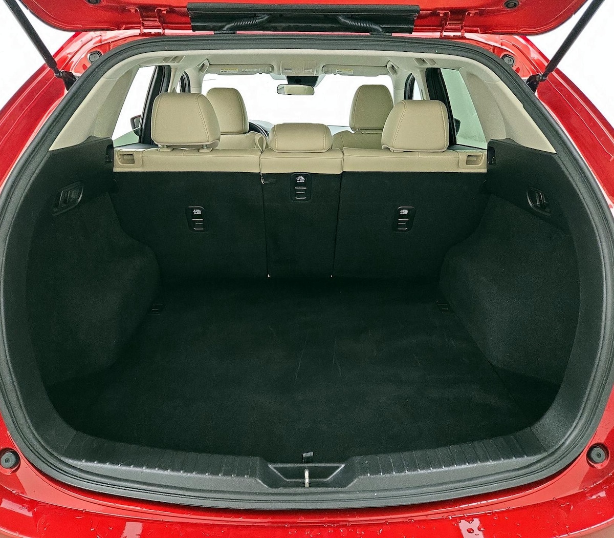 Trunk/Cargo (Seats Up)