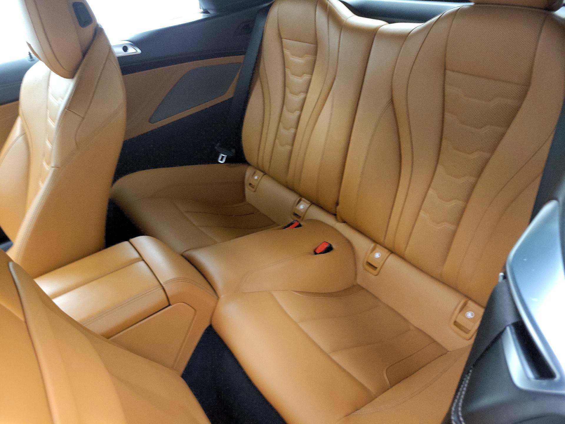 Thumbnail: 2019 BMW 8 Series - 19