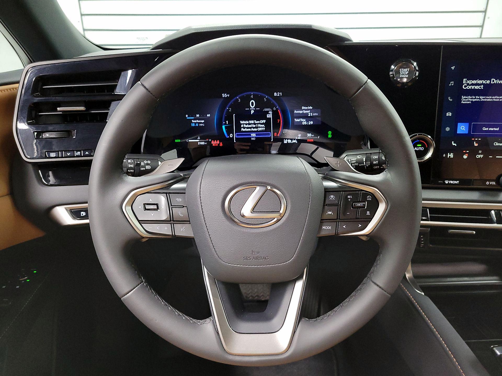 Thumbnail: 2025 Lexus RX - 10