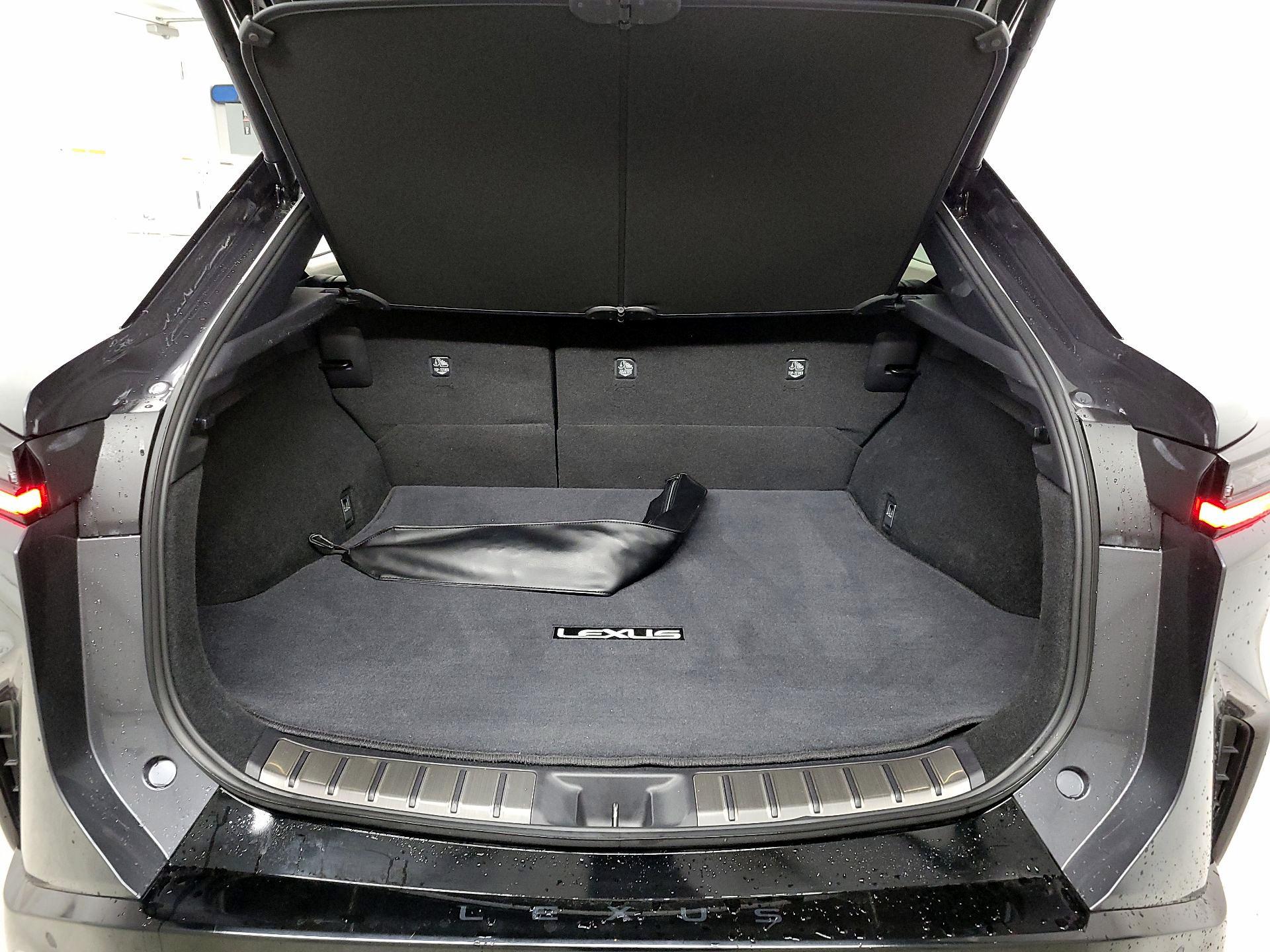 Thumbnail: 2024 Lexus RZ - 18