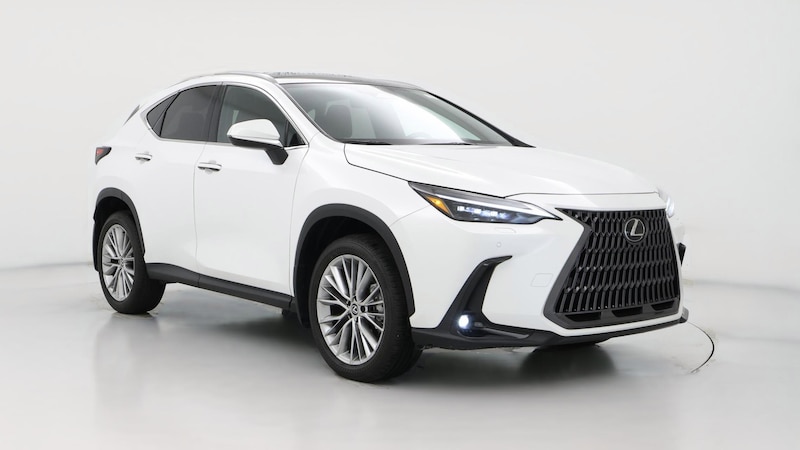 2024 Lexus NX 350 Luxury Hero Image