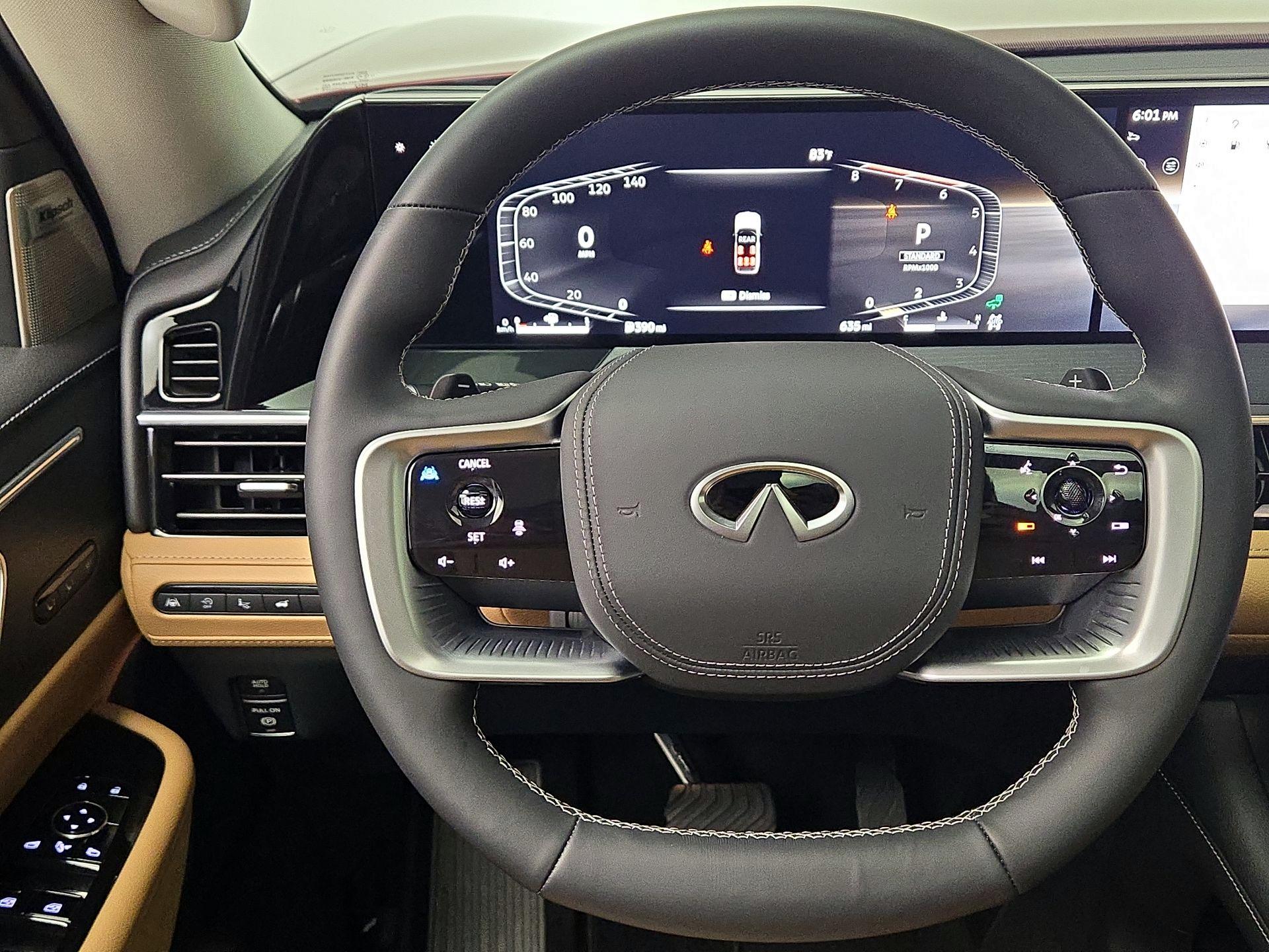 Thumbnail: 2025 INFINITI QX80 - 10