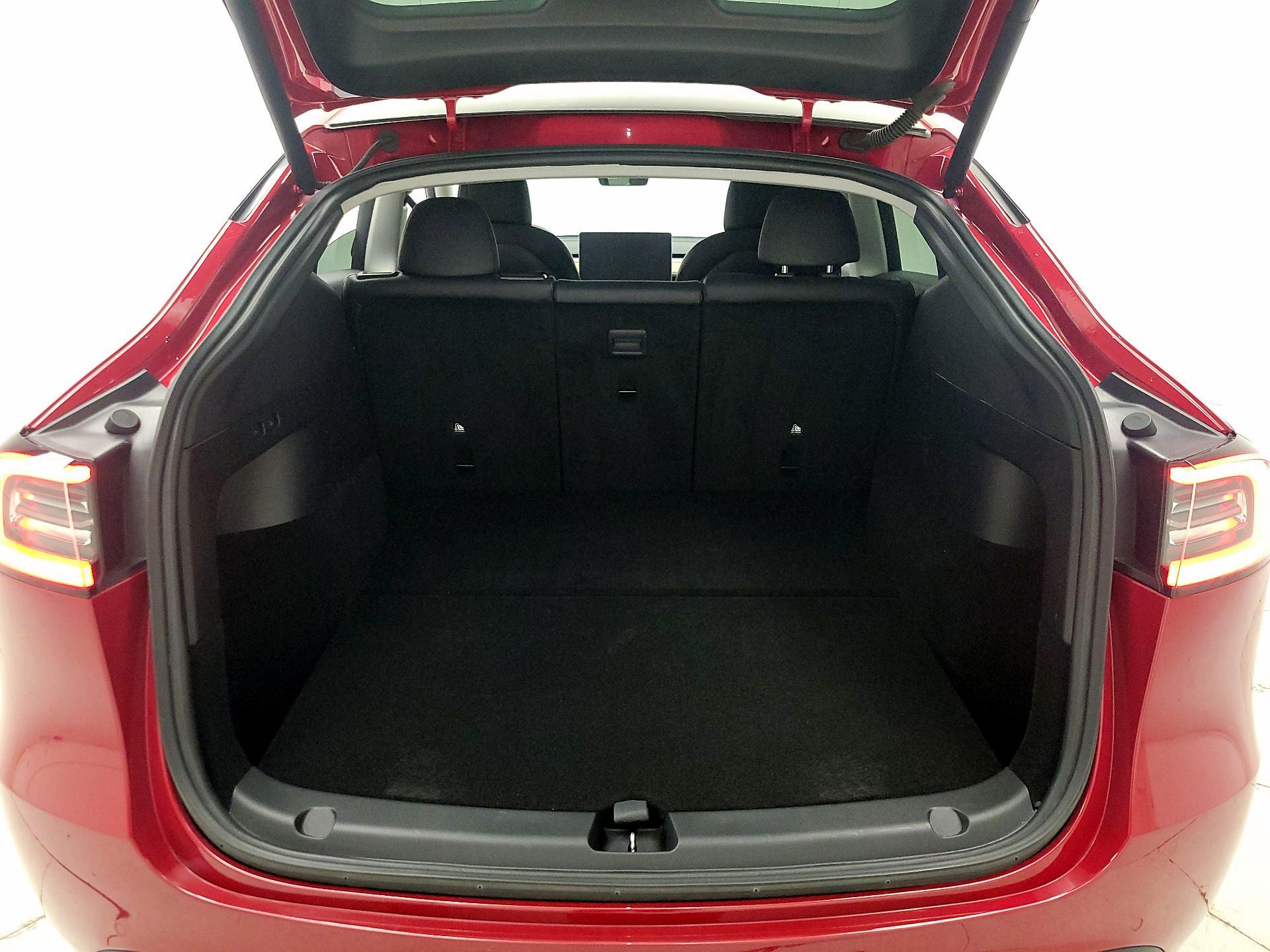 Thumbnail: 2021 Tesla Model Y - 20