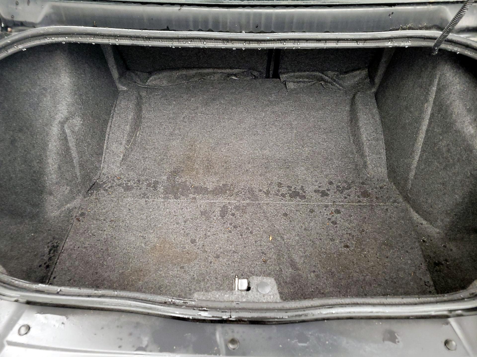 Thumbnail: 2019 Dodge Challenger - 20