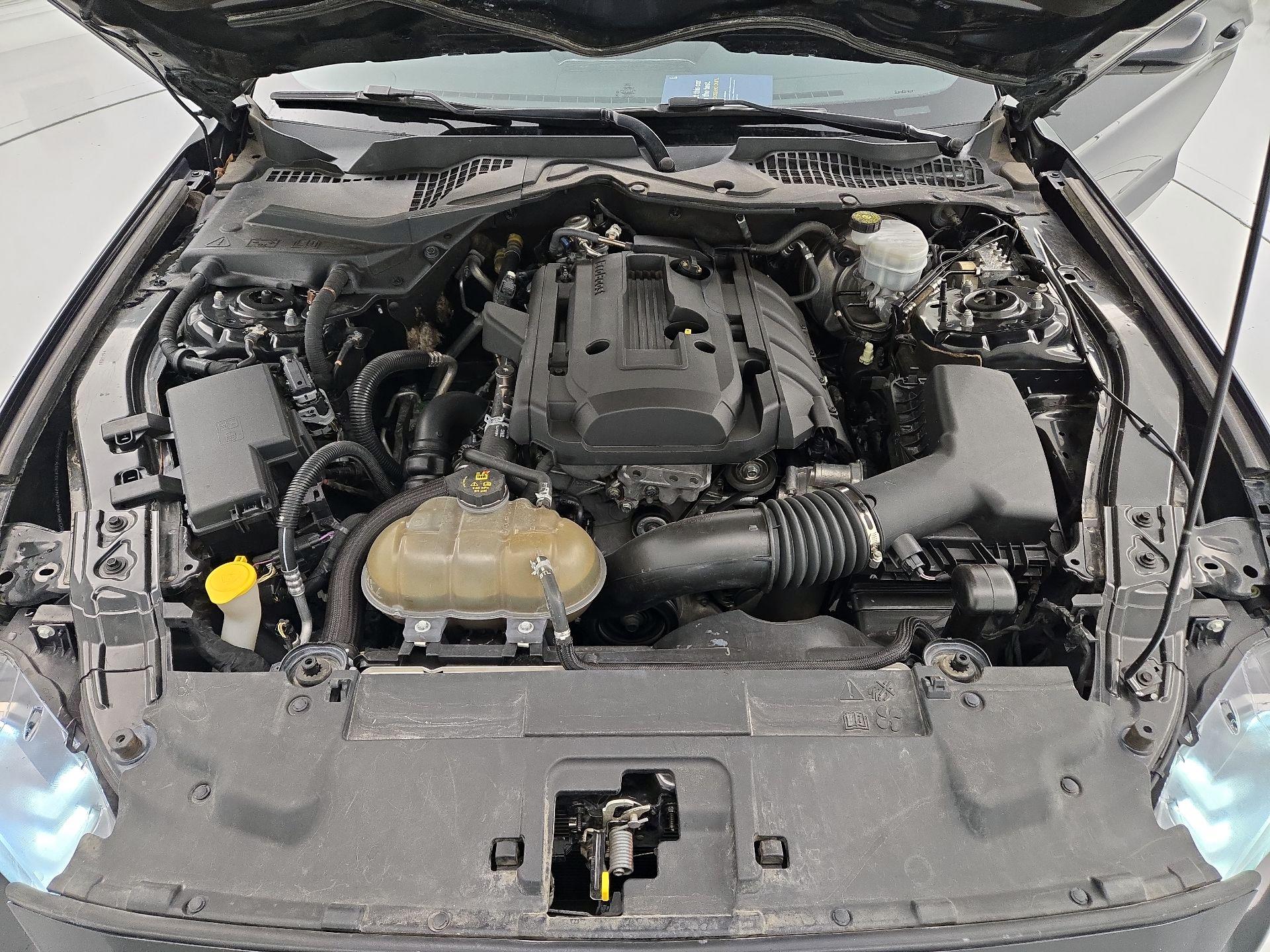 Thumbnail: 2018 Ford Mustang - 20