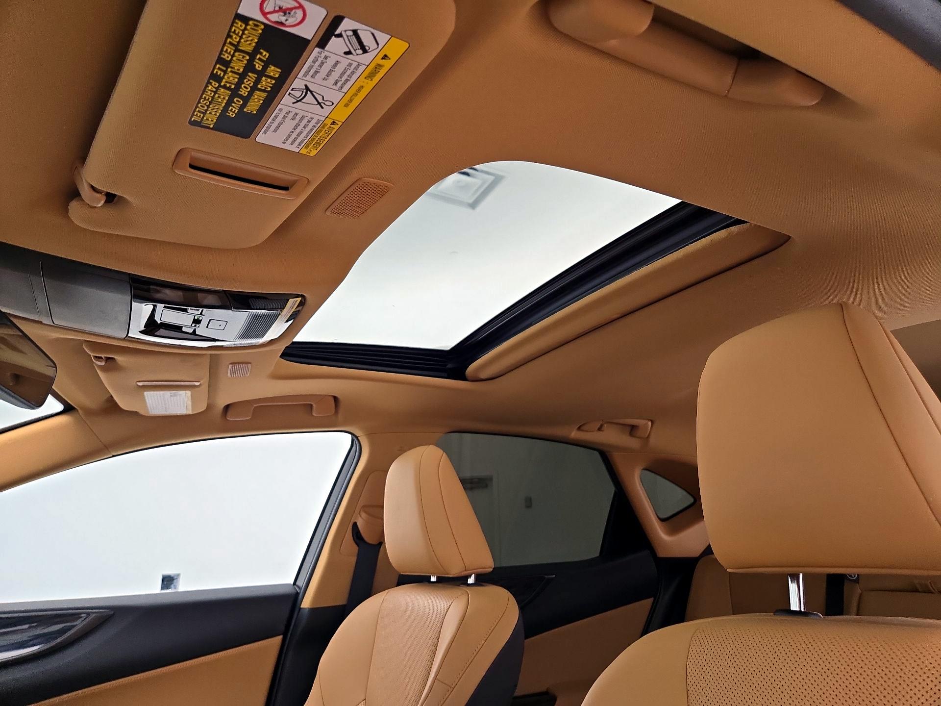 Thumbnail: 2024 Lexus NX - 19
