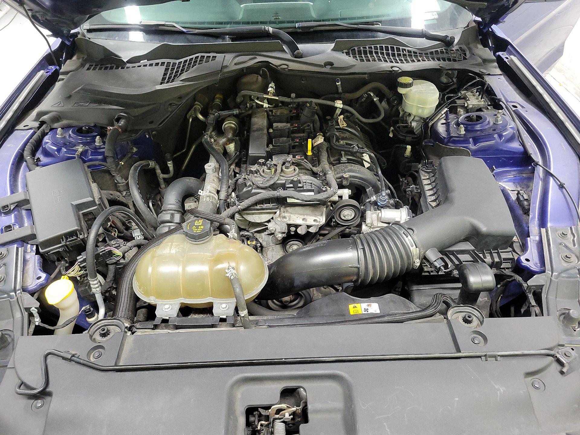 Thumbnail: 2016 Ford Mustang - 19