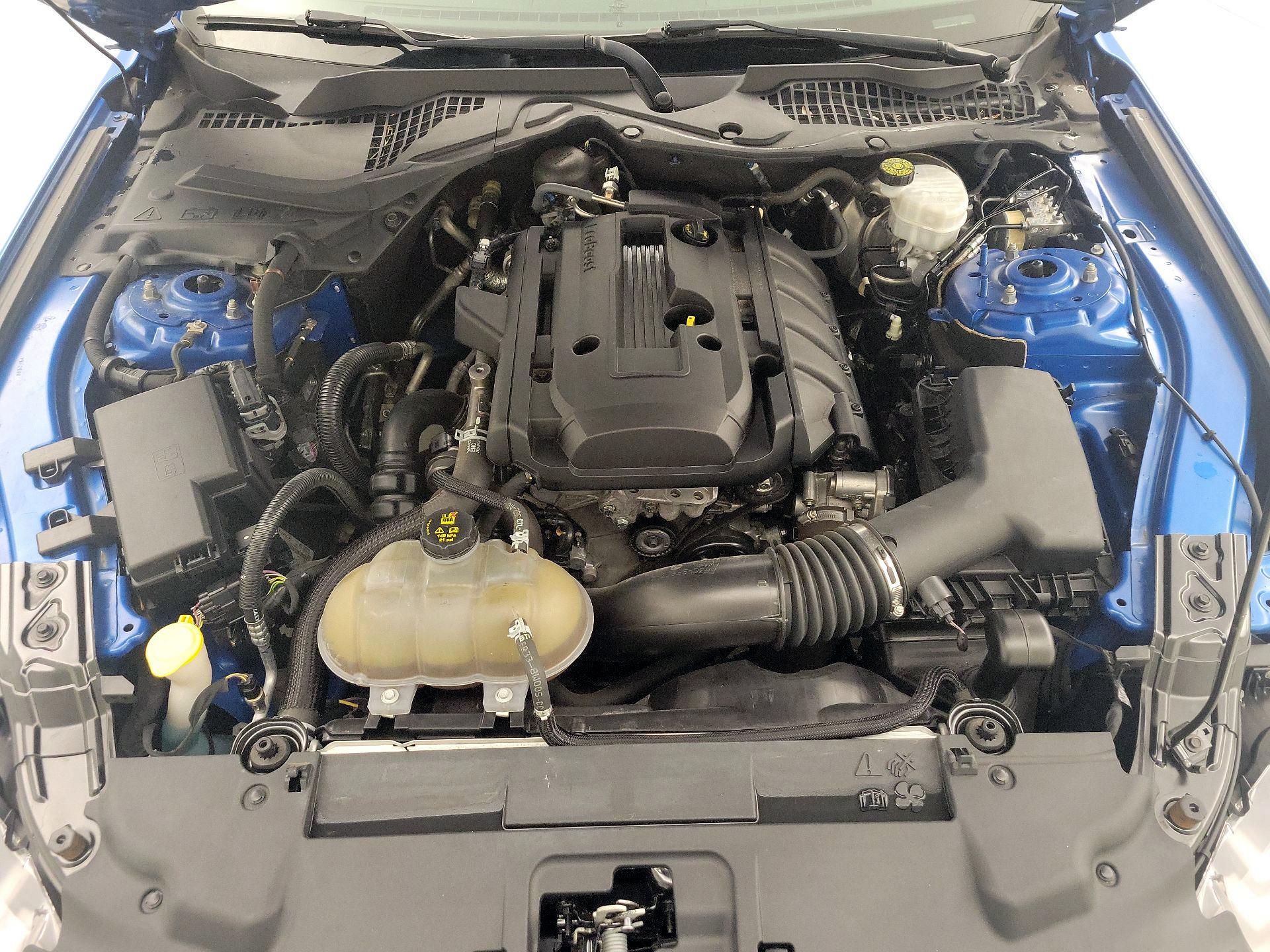 Thumbnail: 2019 Ford Mustang - 20