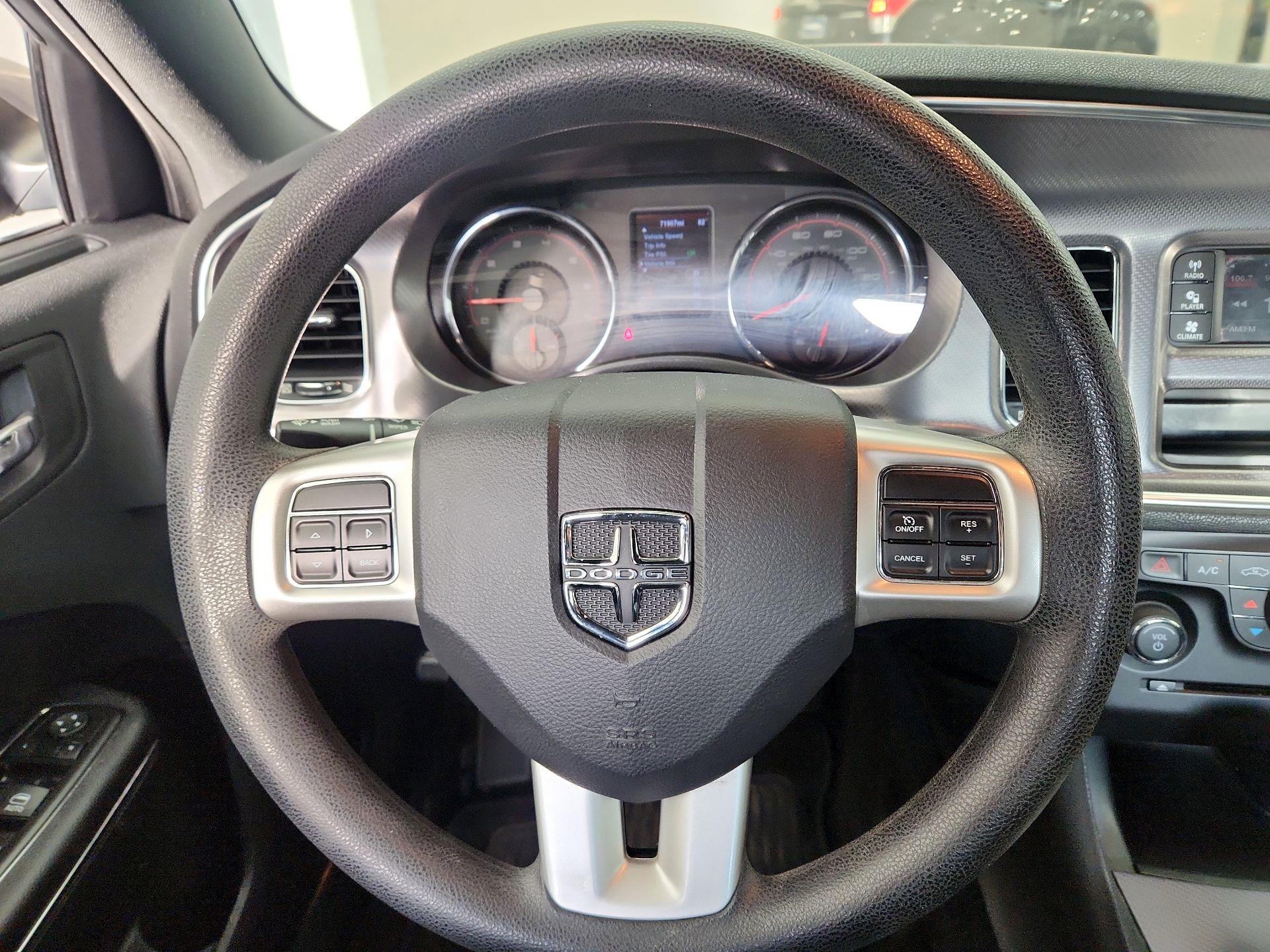Thumbnail: 2014 Dodge Charger - 10