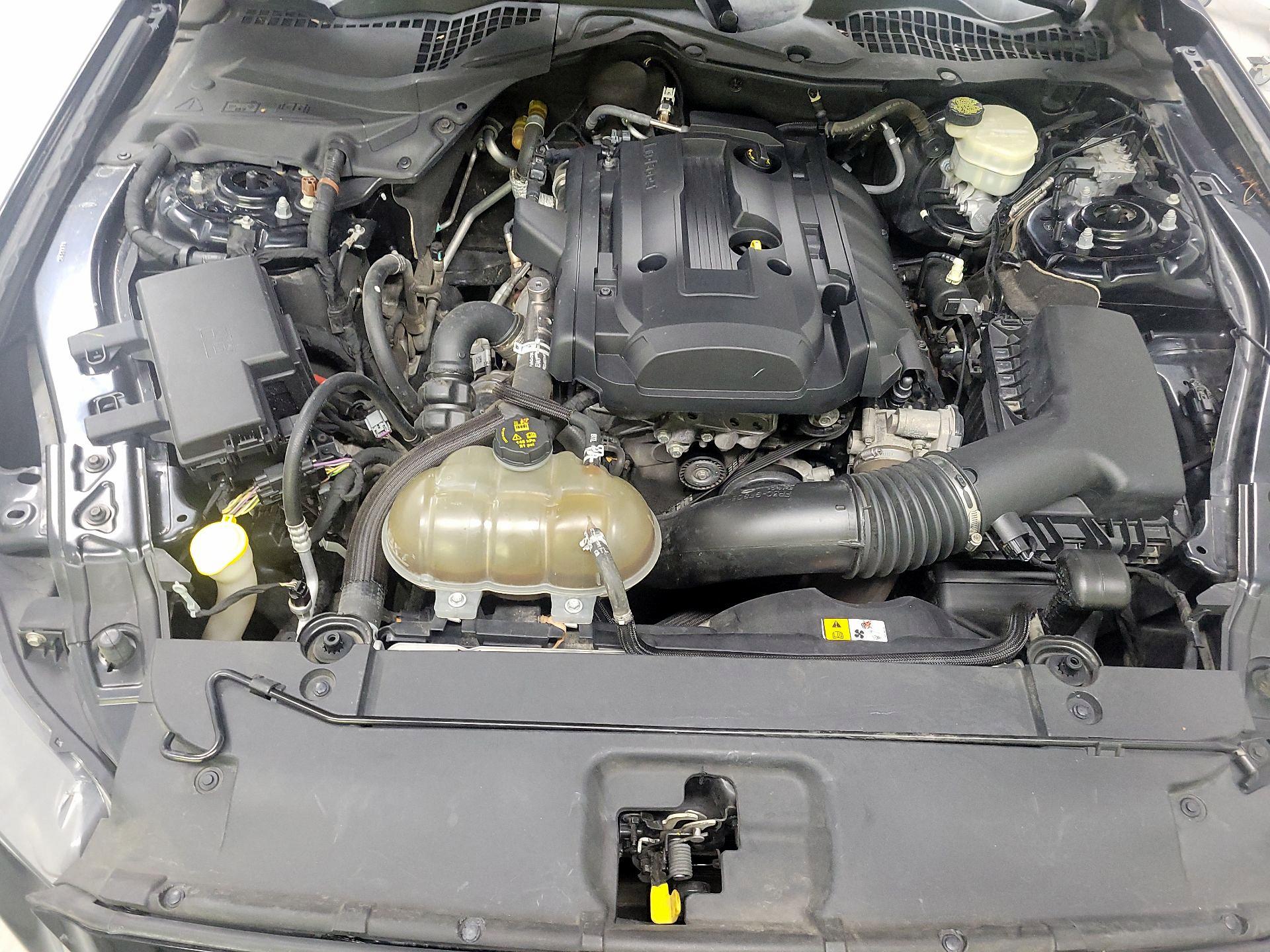 Thumbnail: 2015 Ford Mustang - 20