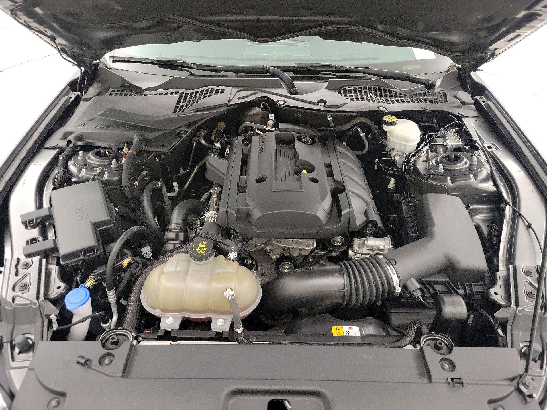 Thumbnail: 2016 Ford Mustang - 20