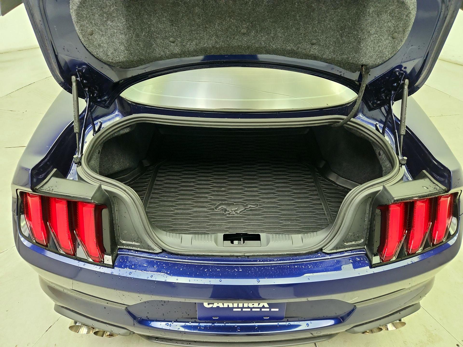 Thumbnail: 2019 Ford Mustang - 20