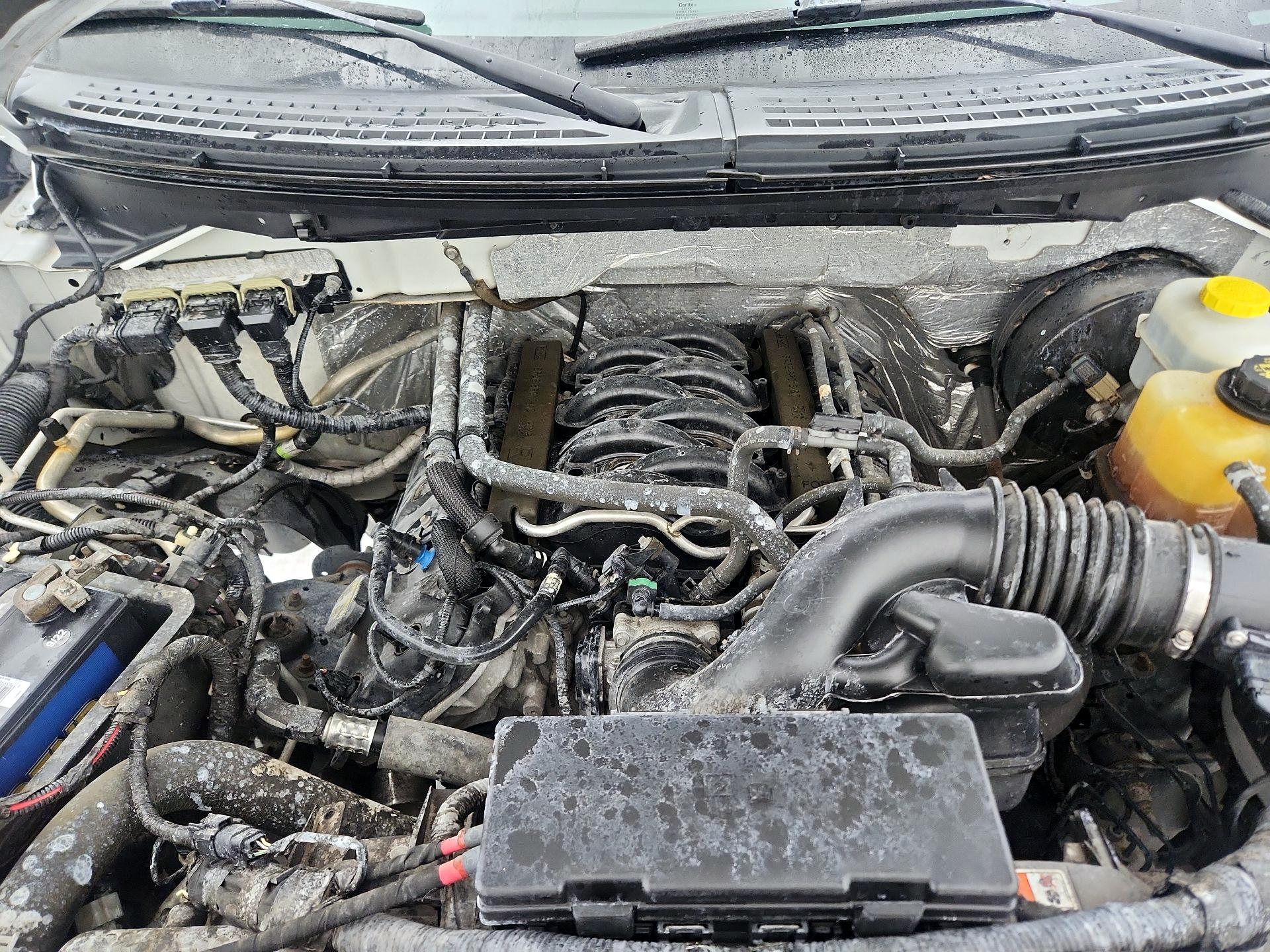 Thumbnail: 2014 Ford F-150 - 19