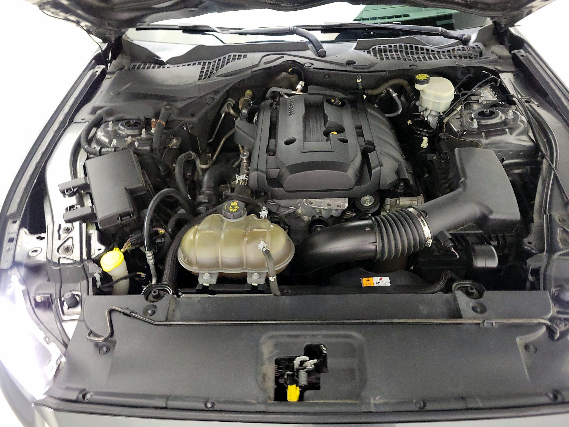 Thumbnail: 2015 Ford Mustang - 20