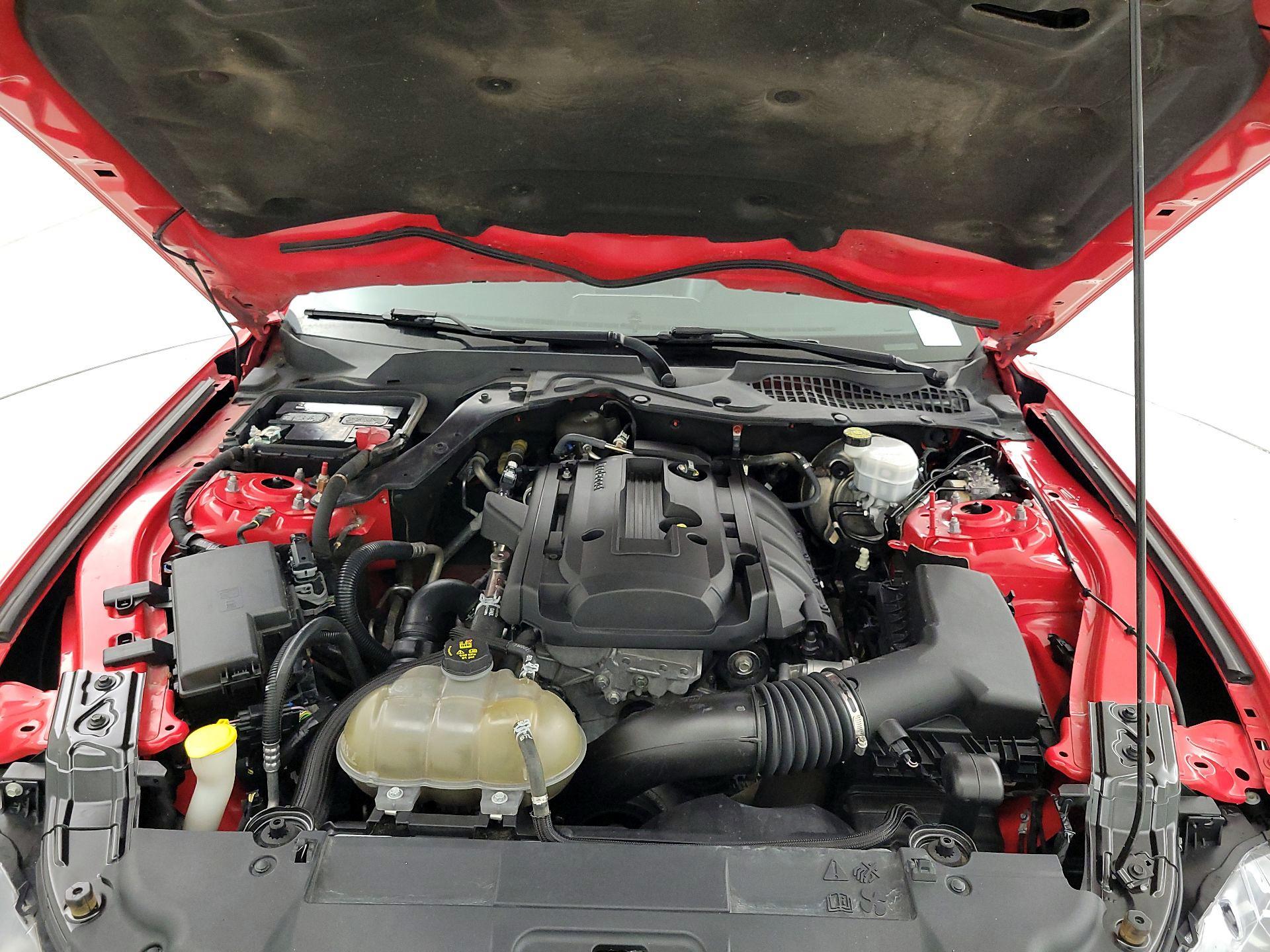 Thumbnail: 2019 Ford Mustang - 20