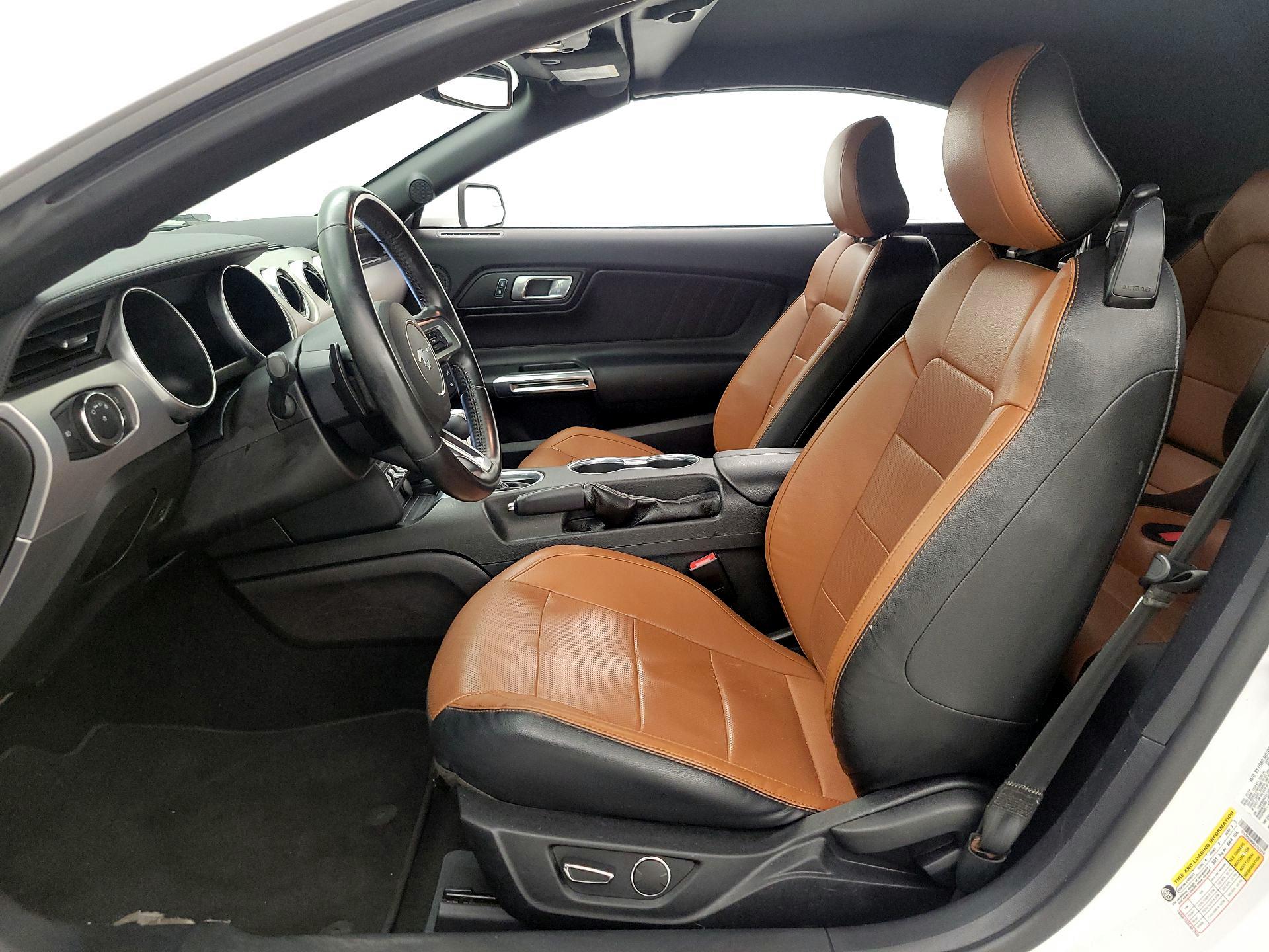 Thumbnail: 2019 Ford Mustang - 11