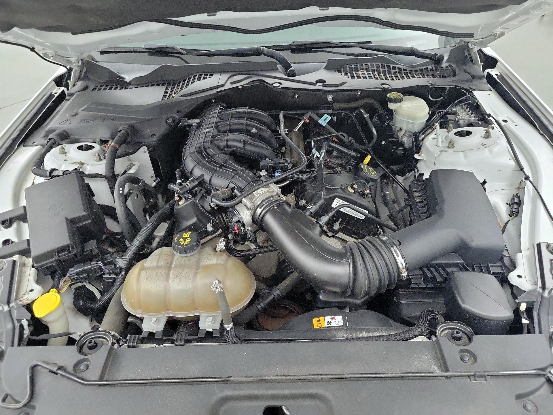 Thumbnail: 2015 Ford Mustang - 19