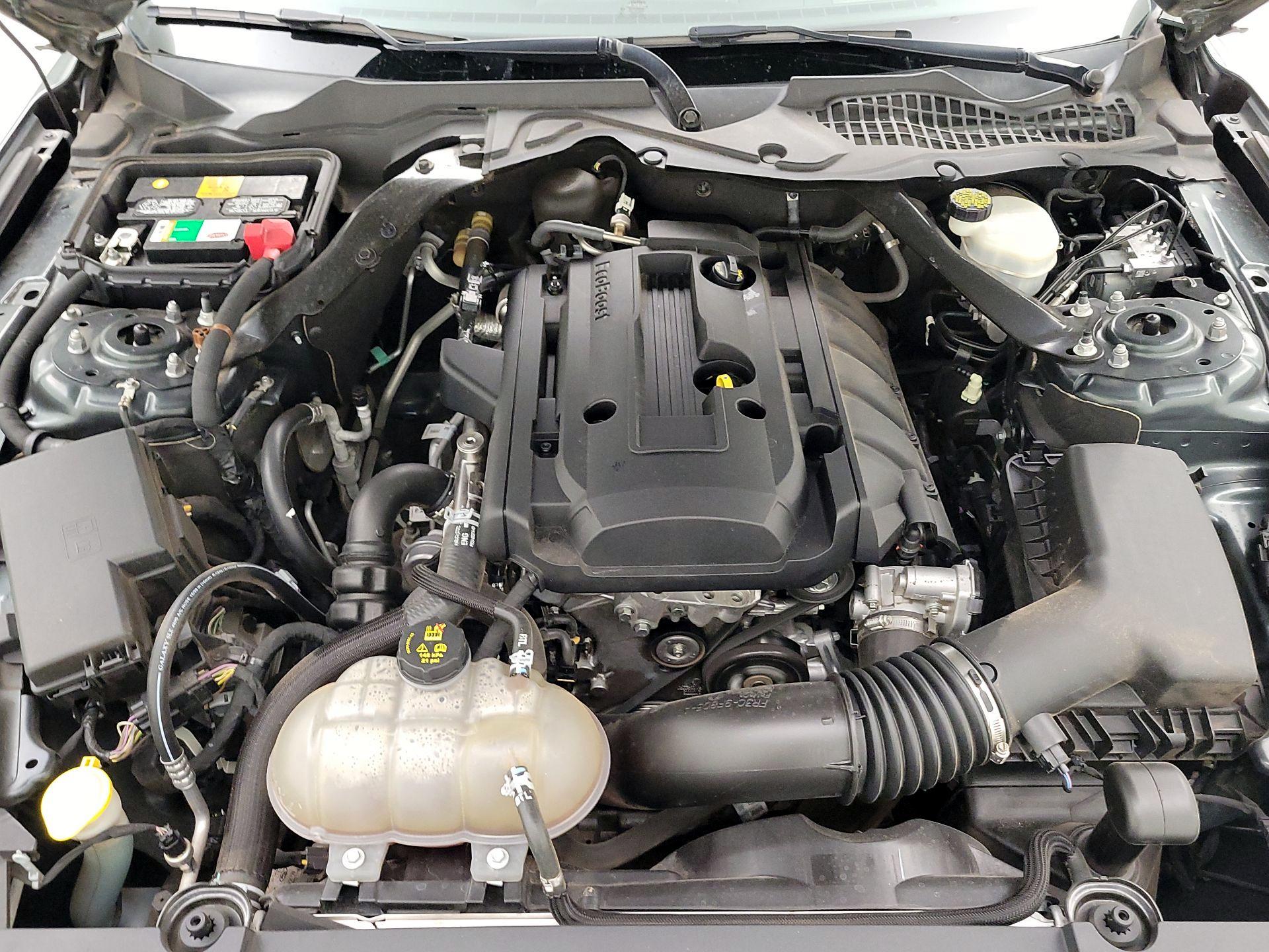 Thumbnail: 2016 Ford Mustang - 17