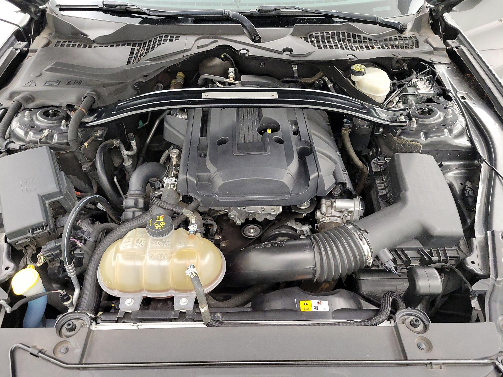 Thumbnail: 2016 Ford Mustang - 20