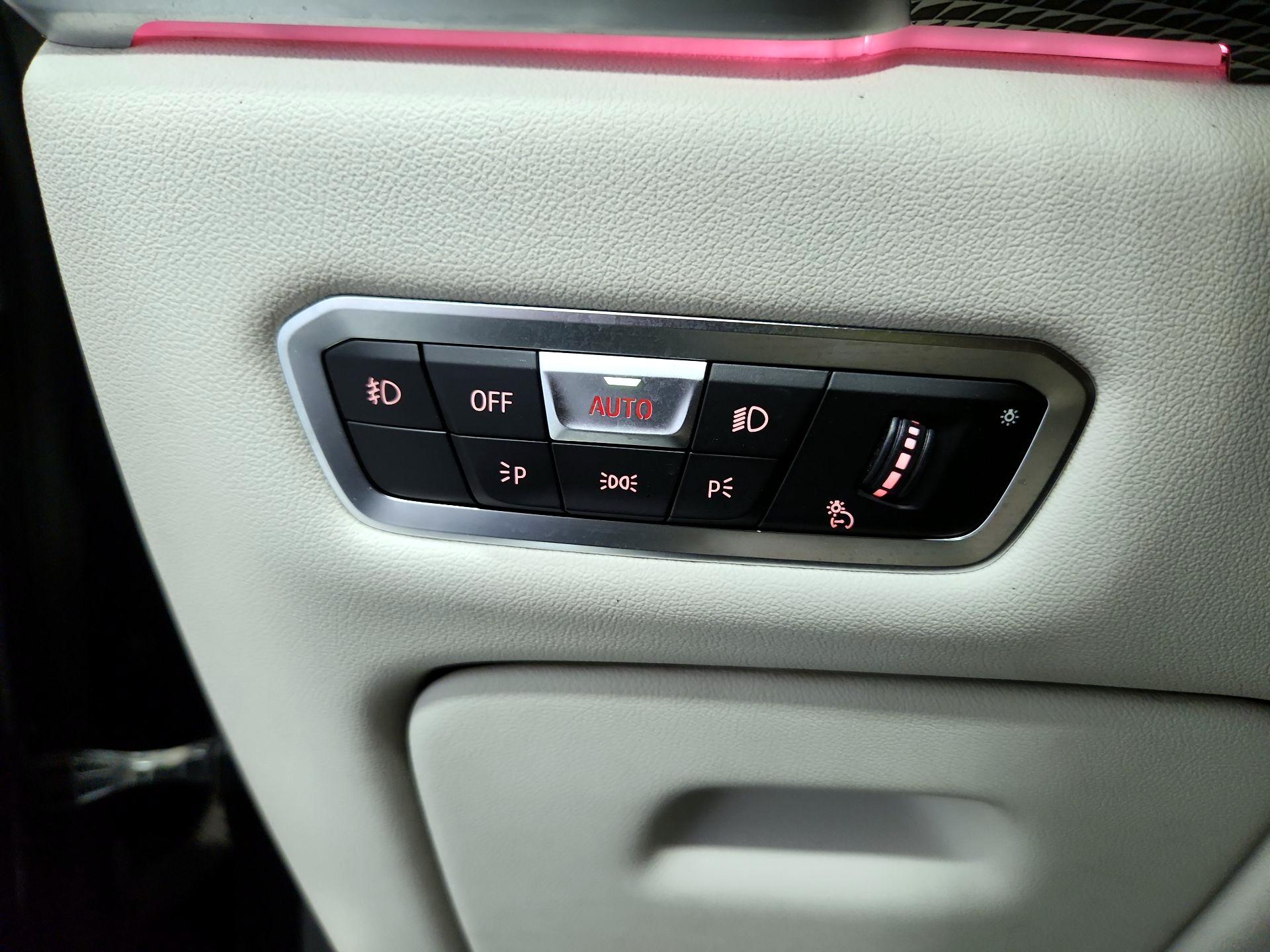 Thumbnail: 2019 BMW X5 - 13