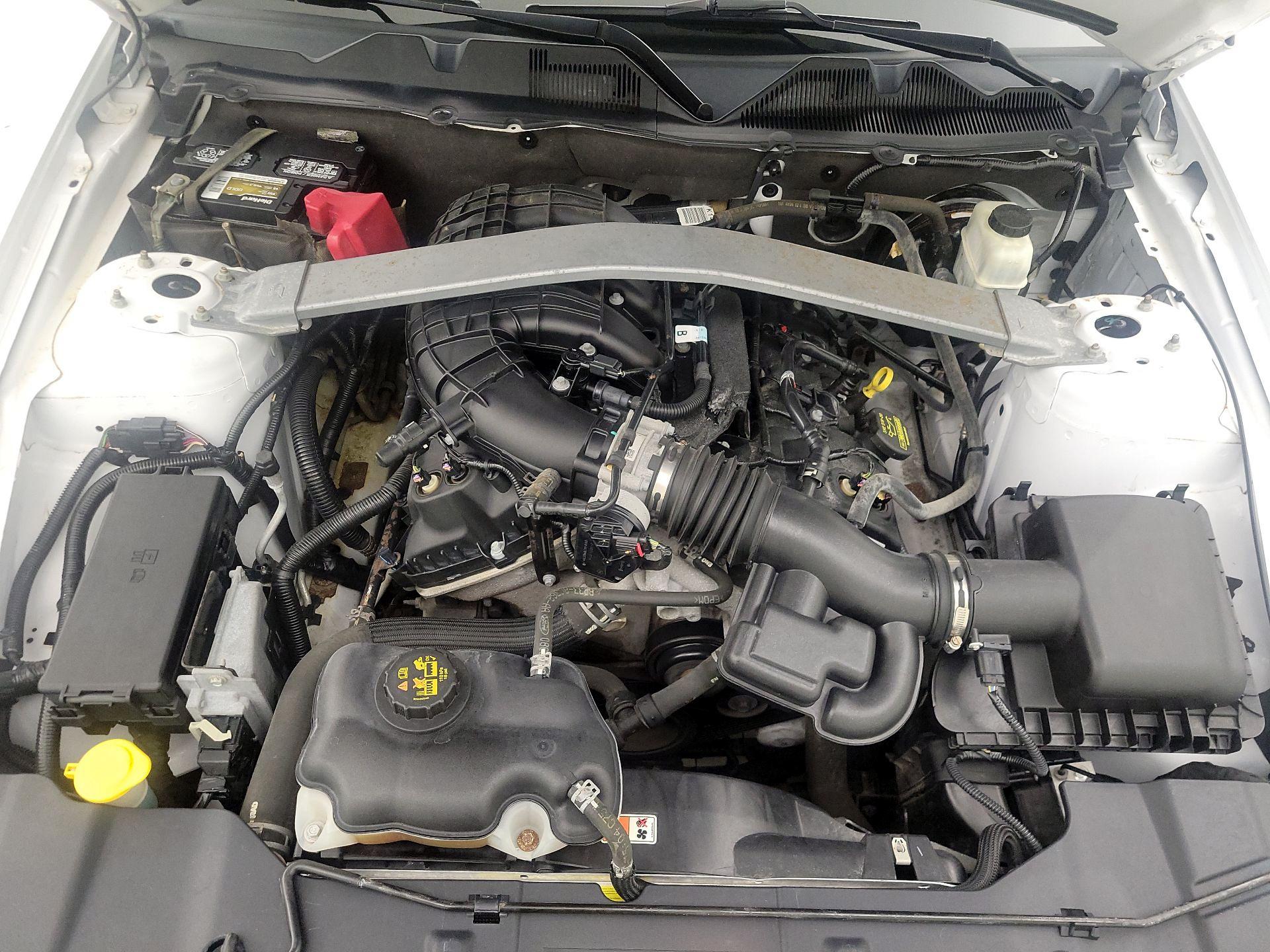 Thumbnail: 2014 Ford Mustang - 19