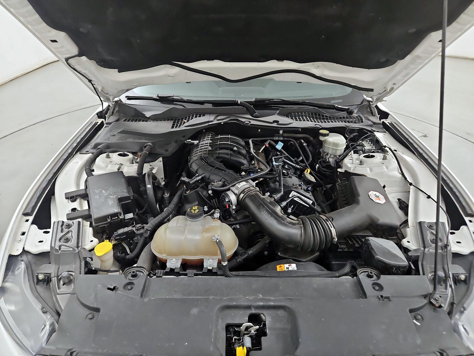 Thumbnail: 2017 Ford Mustang - 20