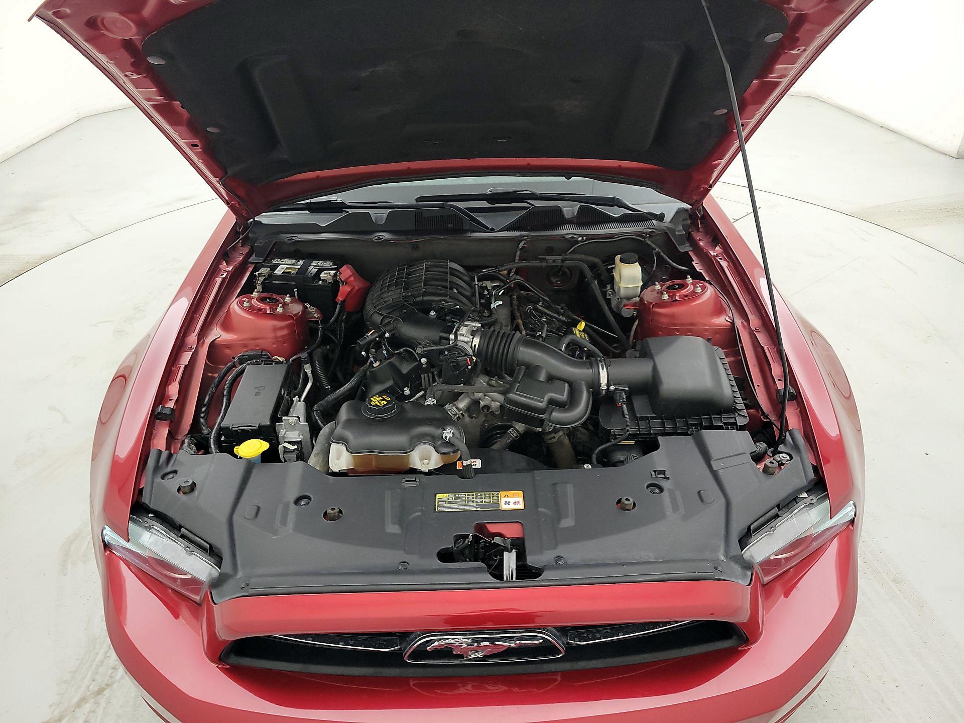 Thumbnail: 2013 Ford Mustang - 19