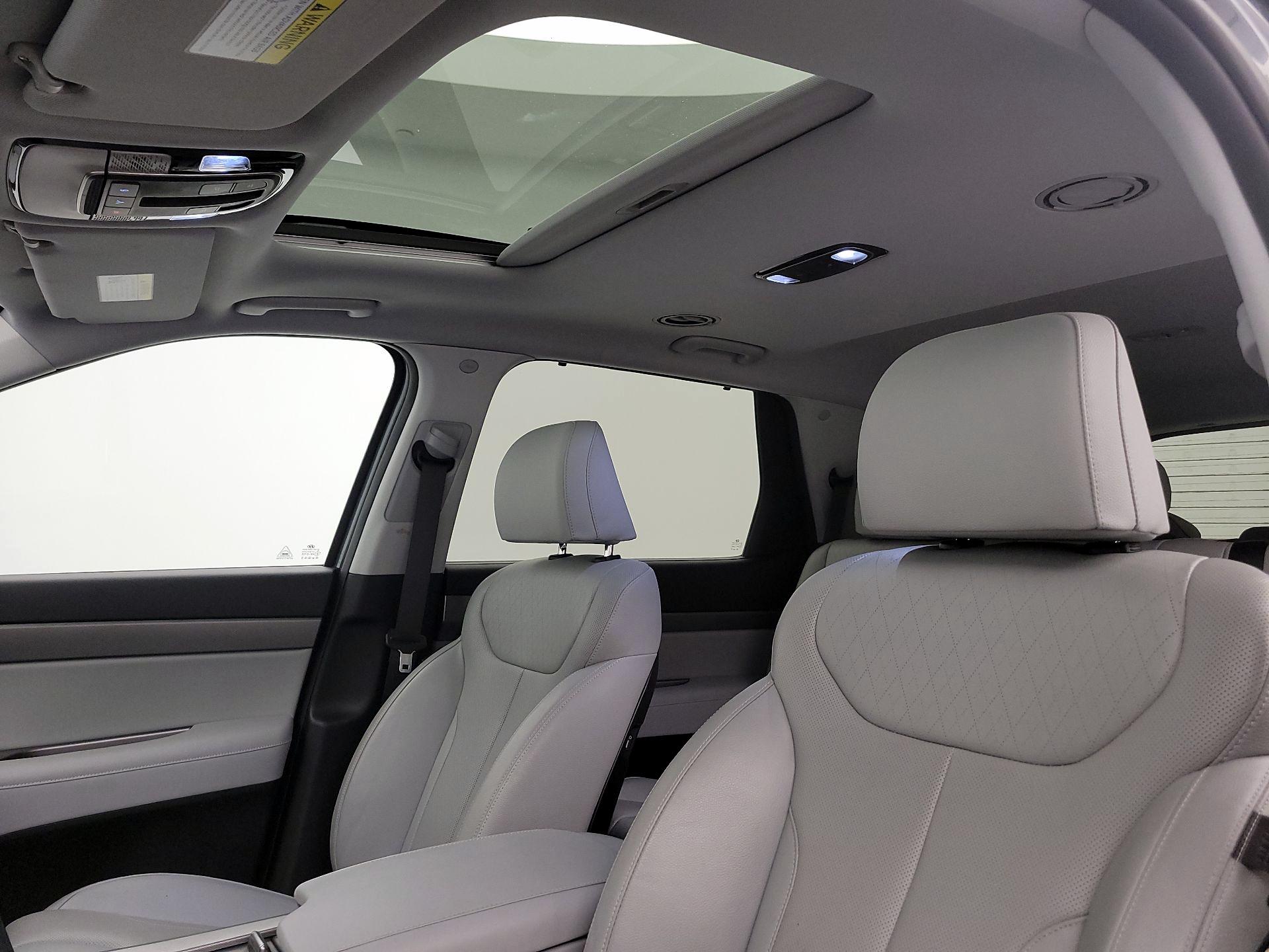 Thumbnail: 2021 Hyundai Palisade - 20