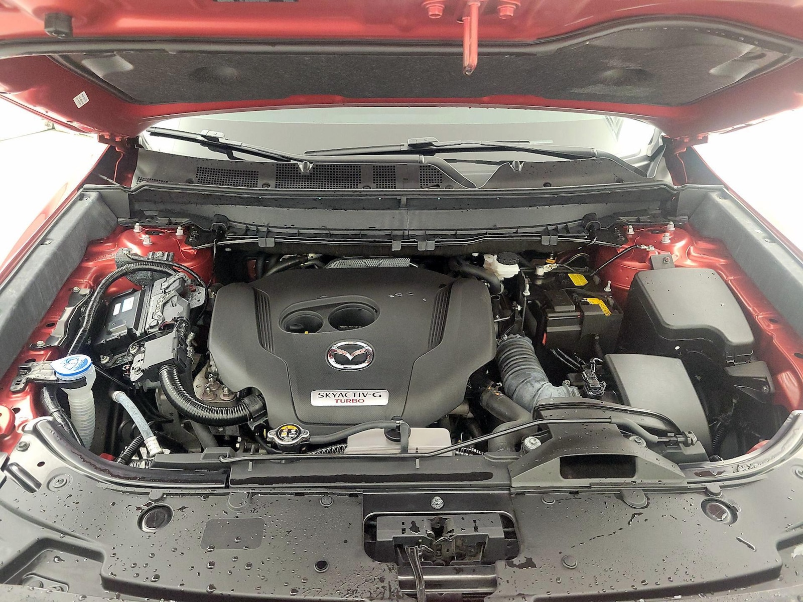 View 20