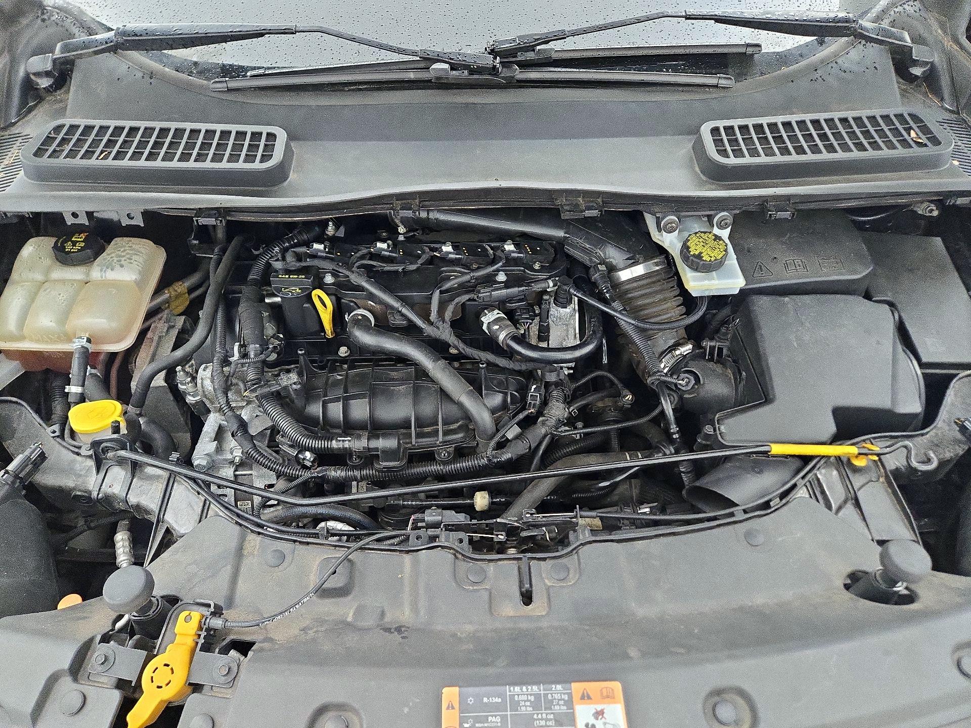 Thumbnail: 2016 Ford Escape - 20