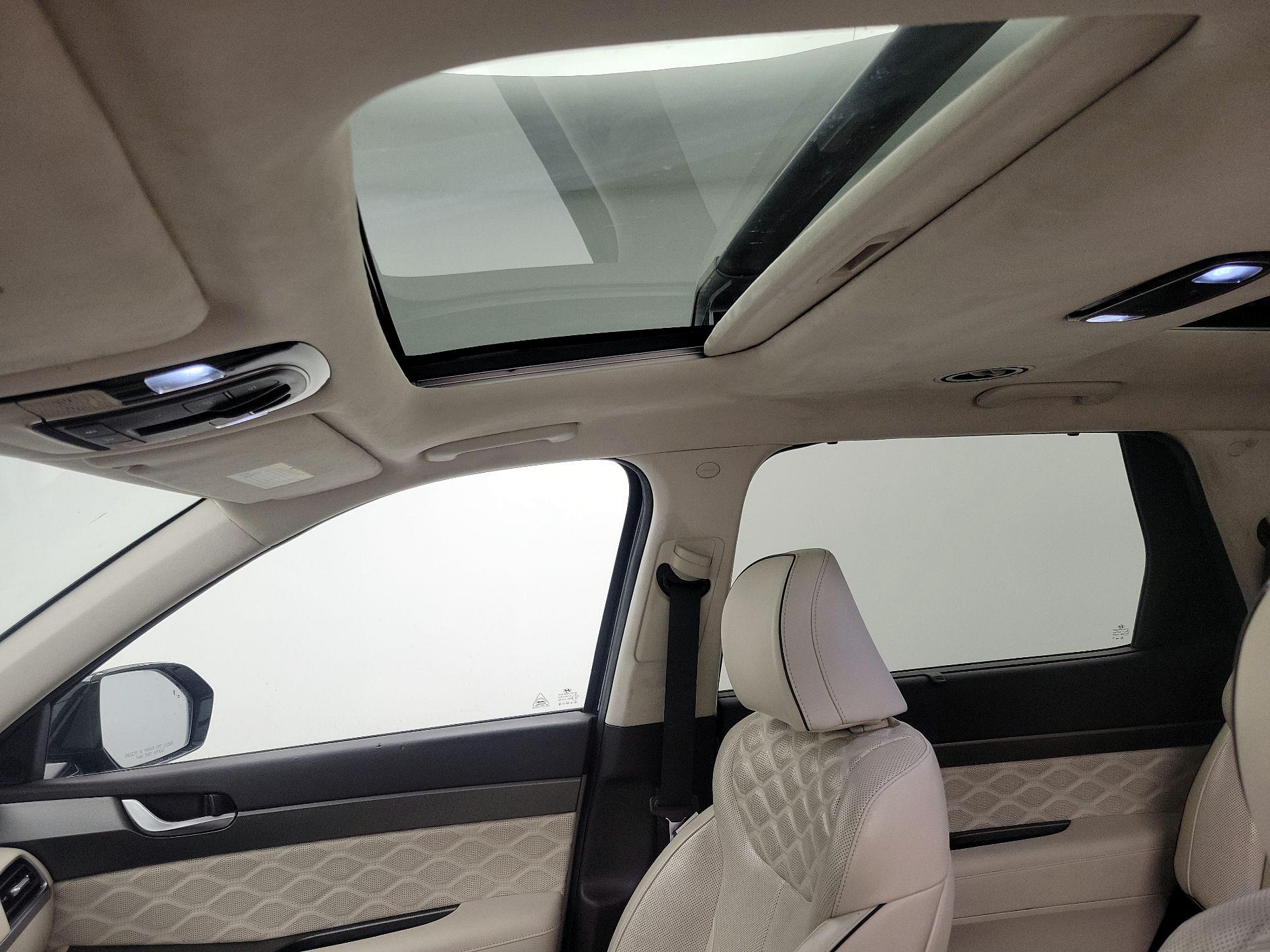 Thumbnail: 2020 Hyundai Palisade - 20