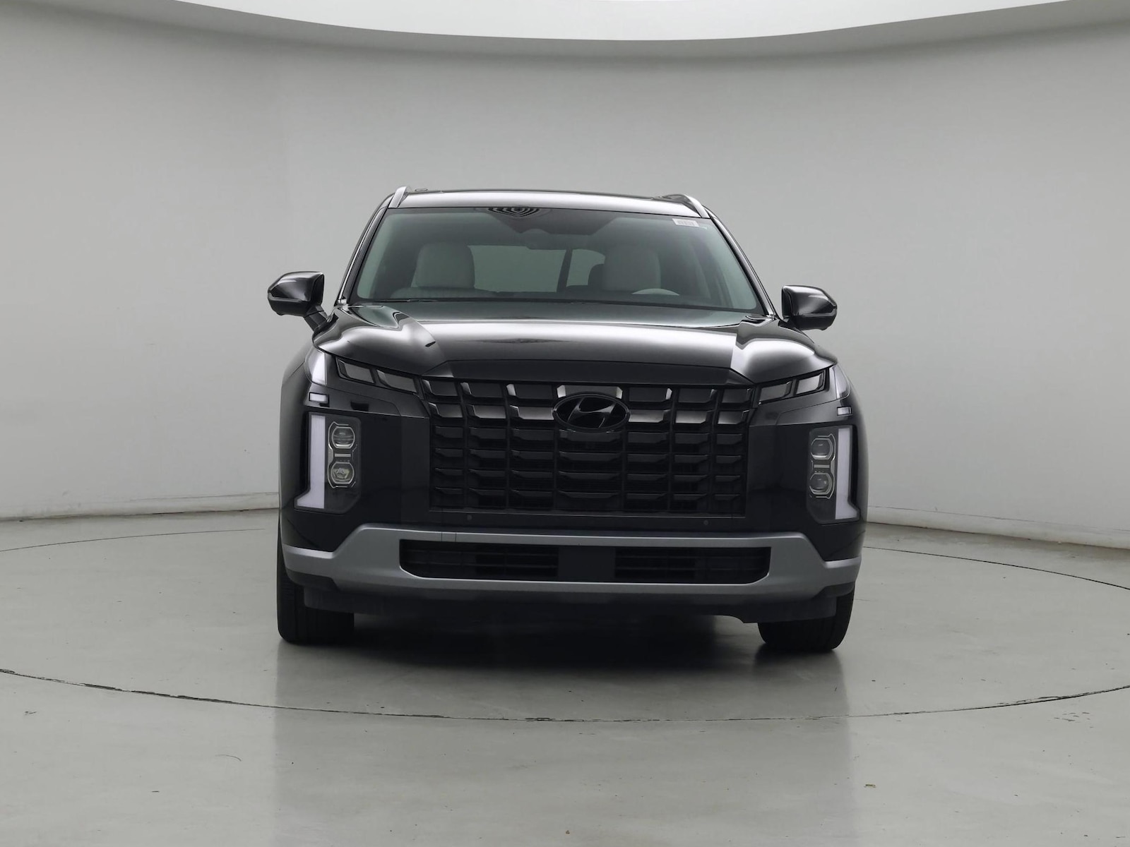 2024 Hyundai Palisade Limited - Photo 6