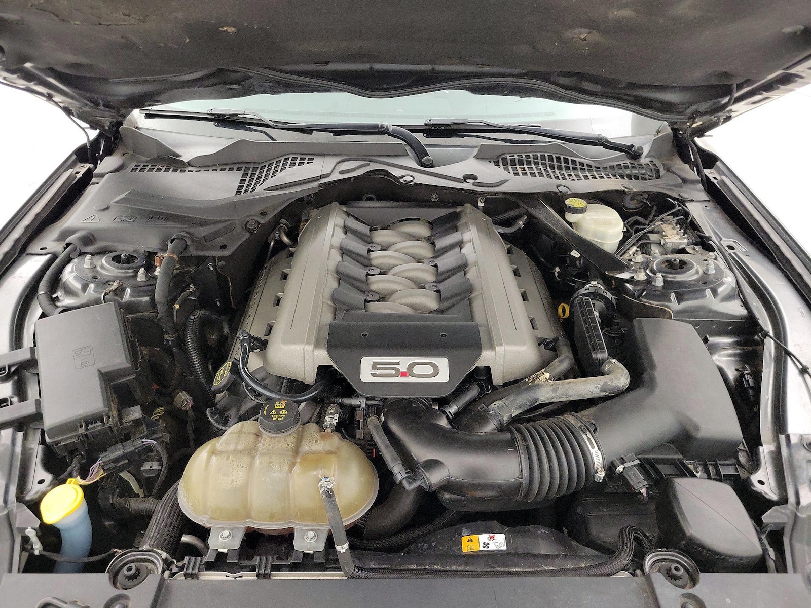 2016 Ford Mustang GT Premium - Photo 18