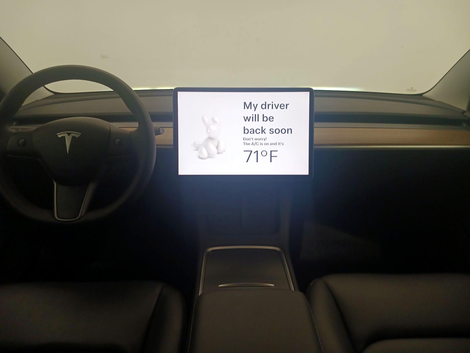 Thumbnail: 2022 Tesla Model 3 - 9