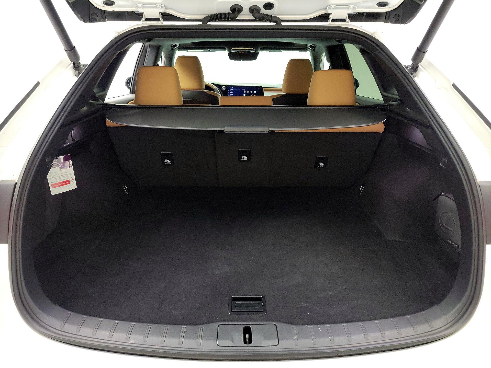 Thumbnail: 2024 Lexus RX - 20