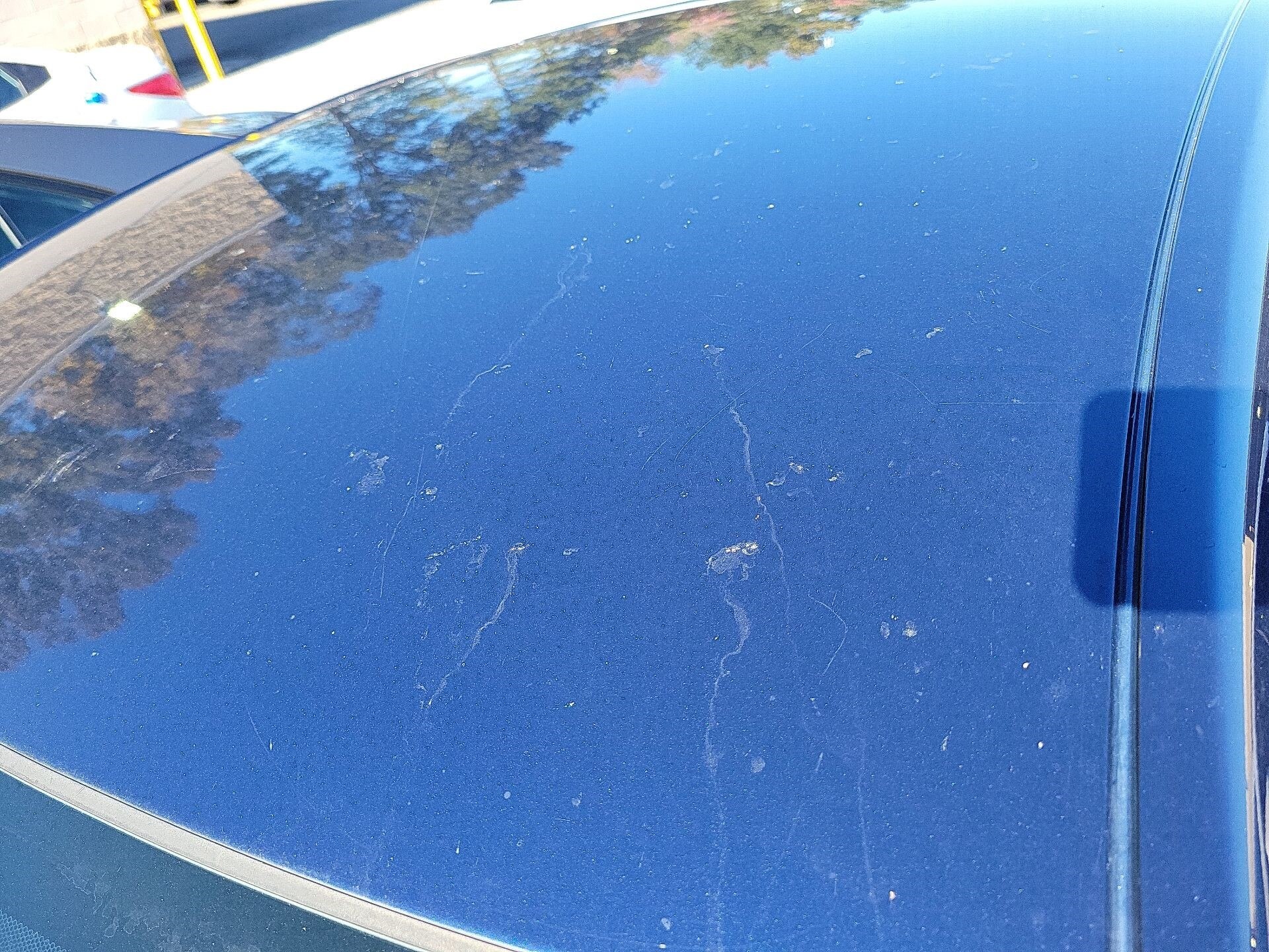 Thumbnail: 2020 Honda Accord - 5