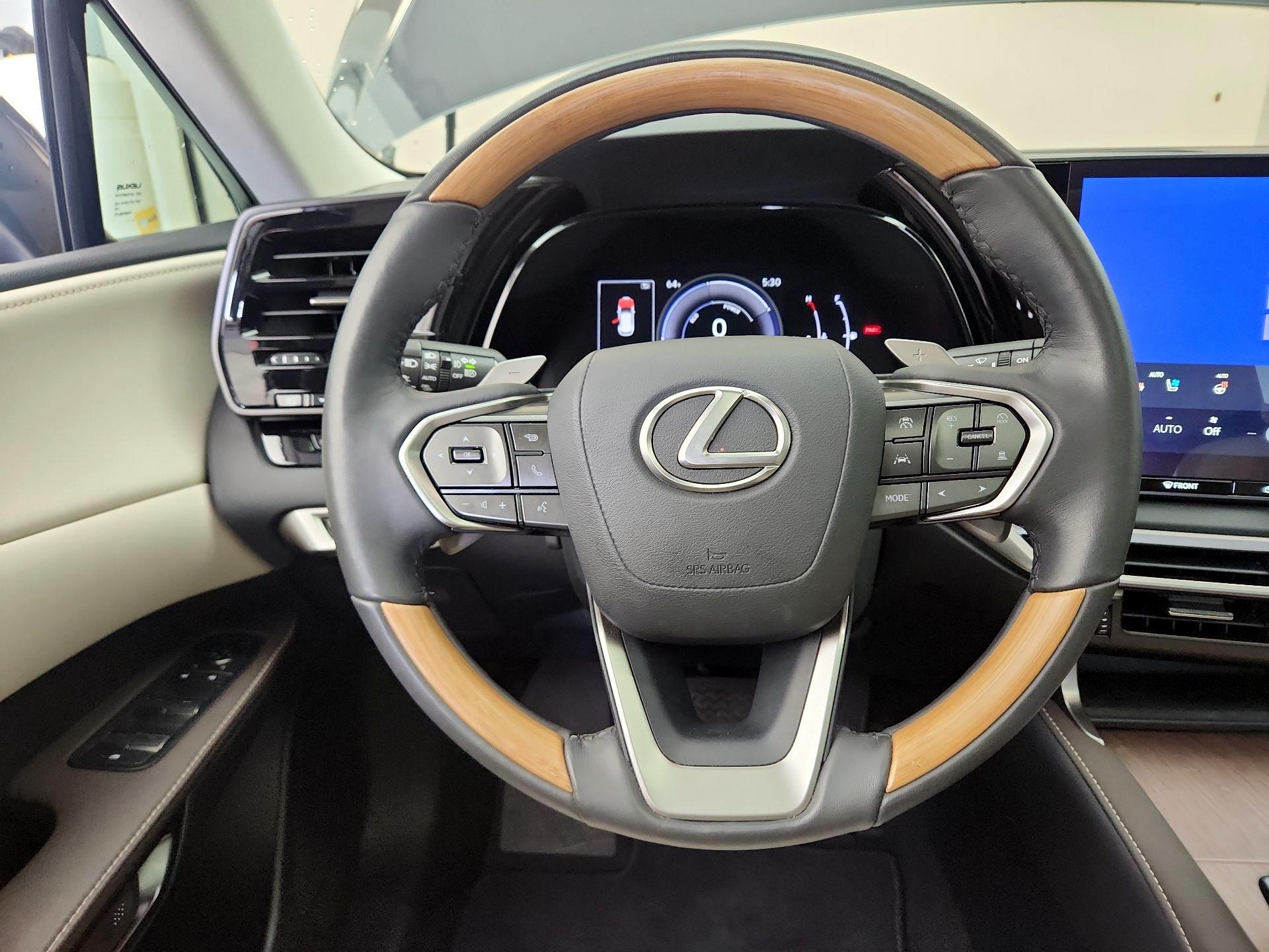 Thumbnail: 2024 Lexus RX - 10