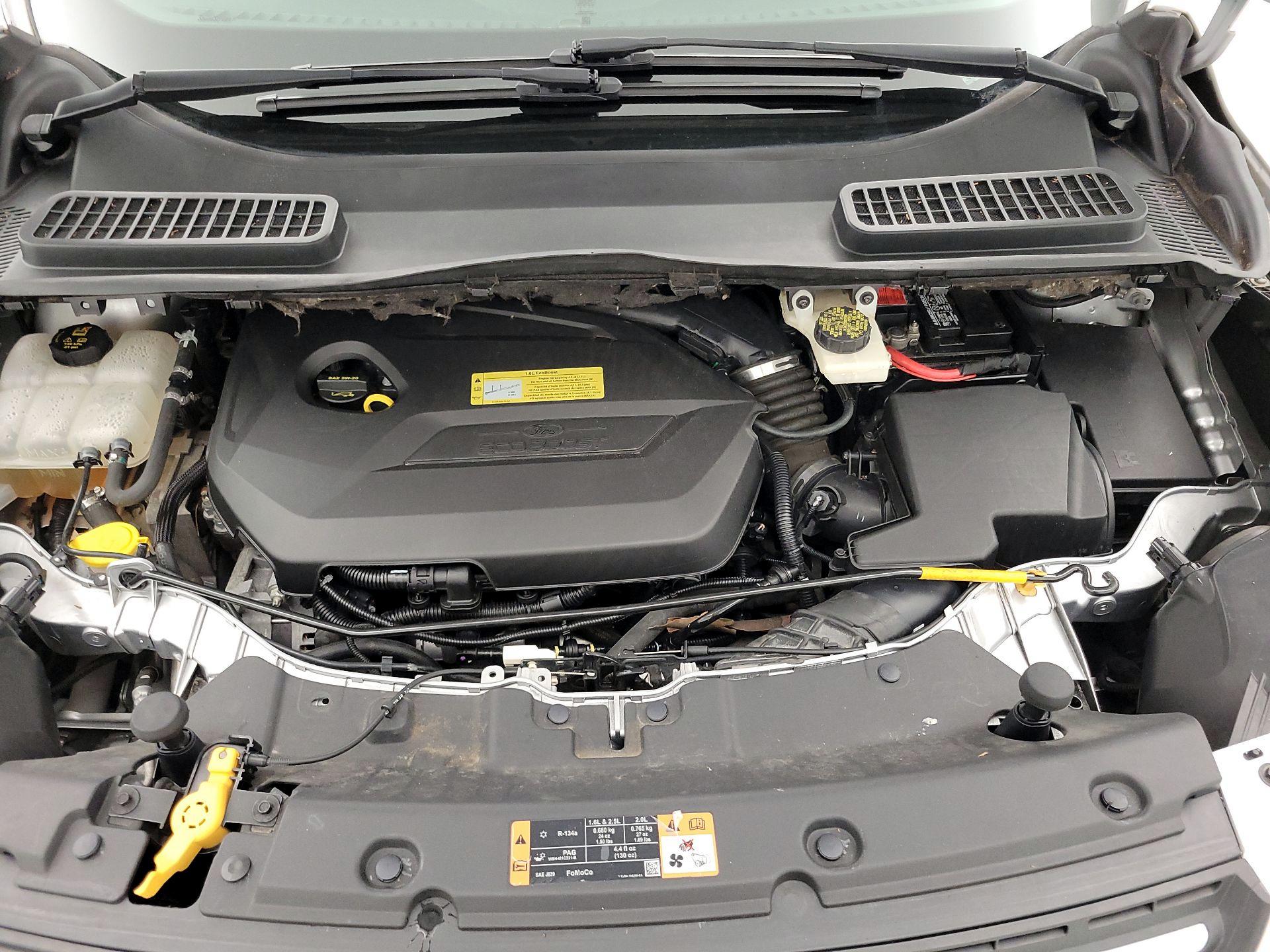 Thumbnail: 2014 Ford Escape - 19
