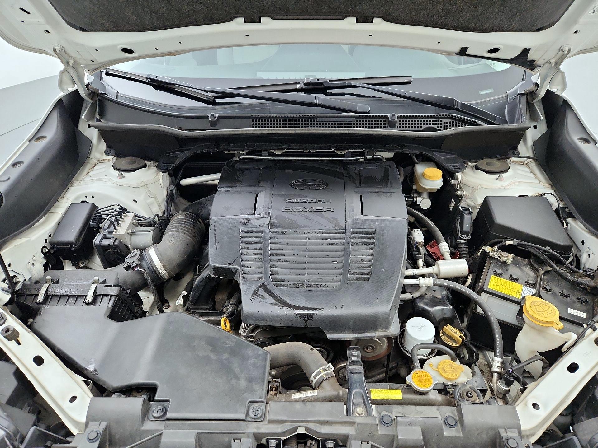 Thumbnail: 2019 Subaru Forester - 20