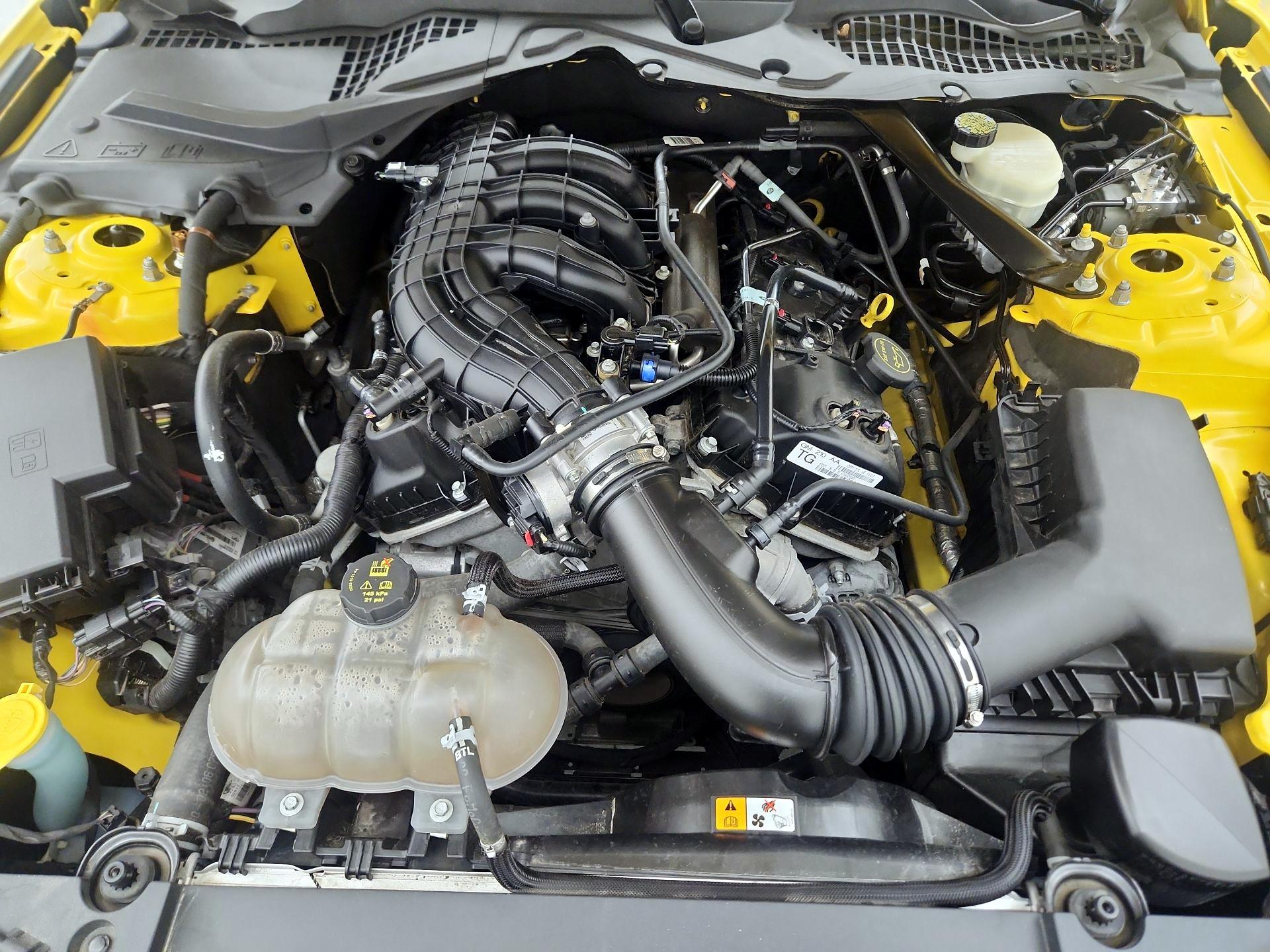 Thumbnail: 2016 Ford Mustang - 20