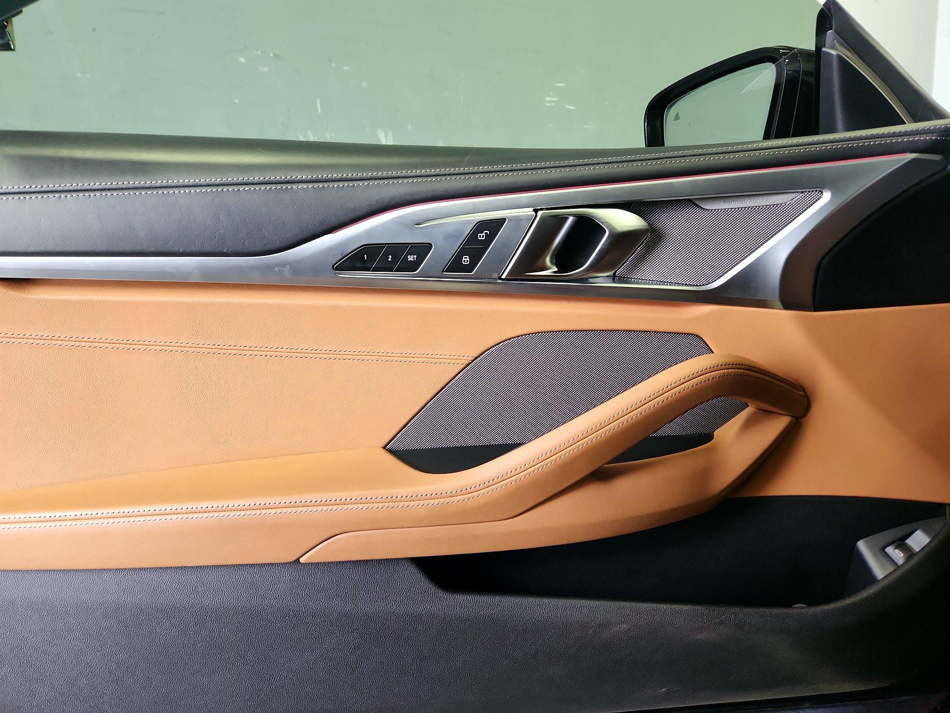 Thumbnail: 2019 BMW 8 Series - 12